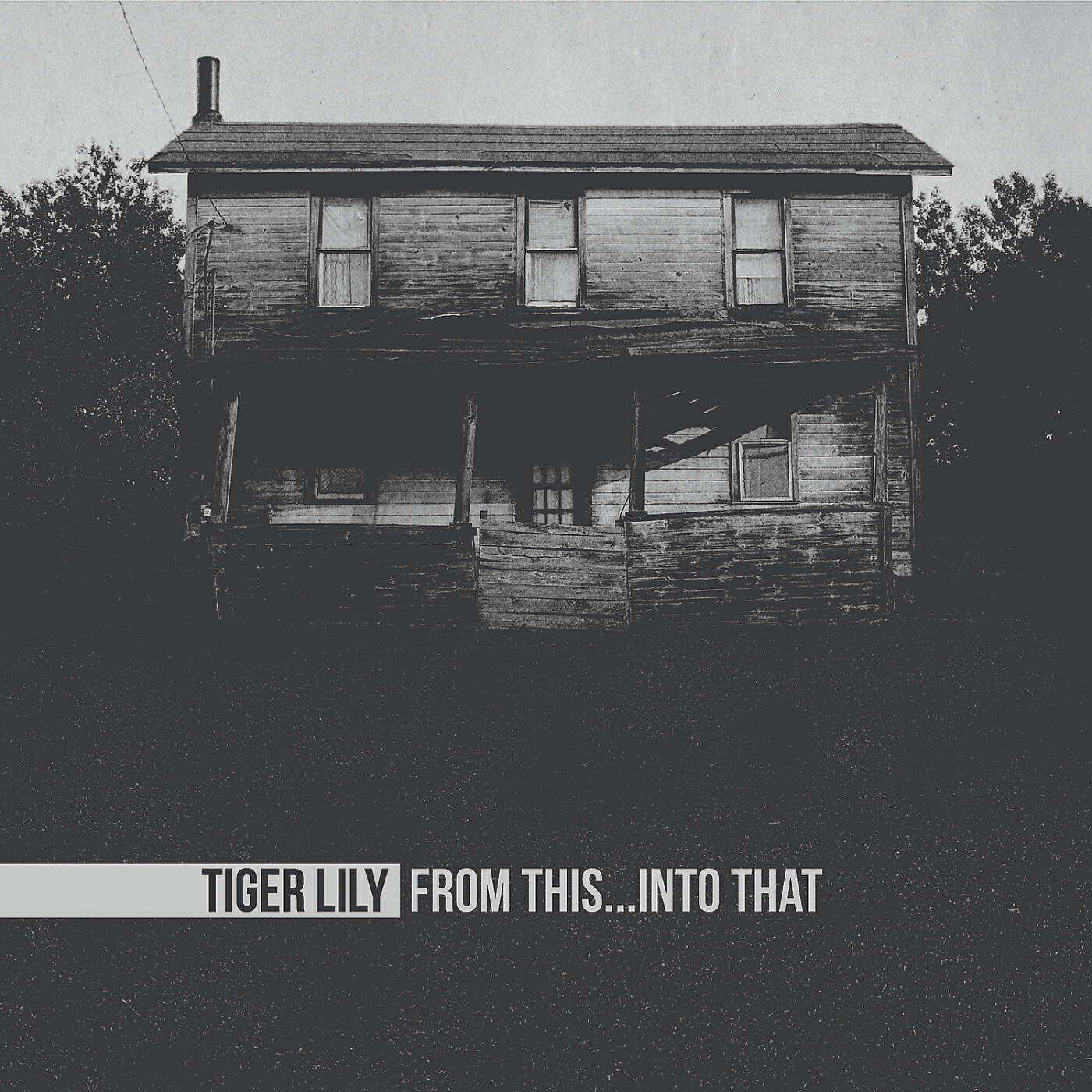 Релиз From This...into That