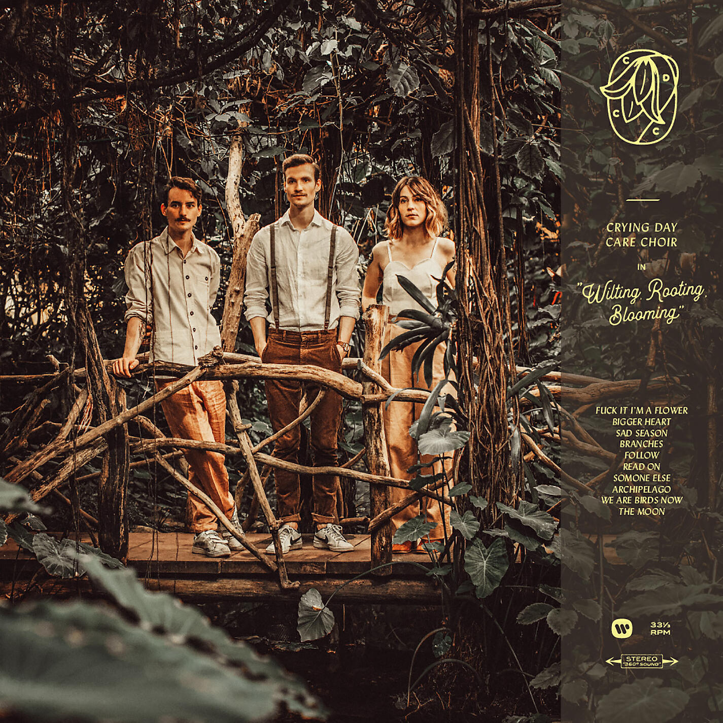 Альбом Branches исполнителя Crying Day Care Choir