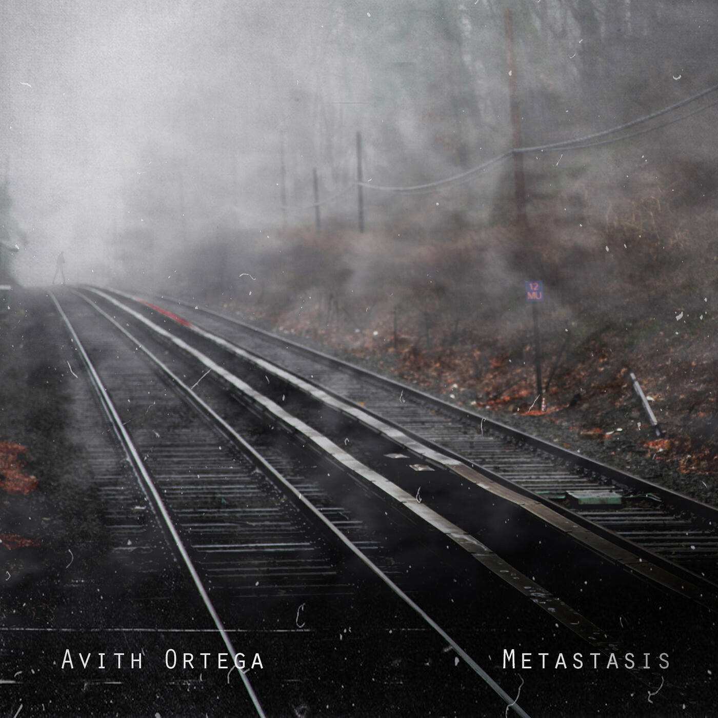 Постер альбома Metastasis