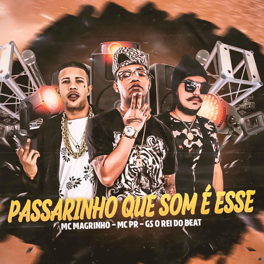 Релиз Passarinho Que Som É Esse (Brega Funk)