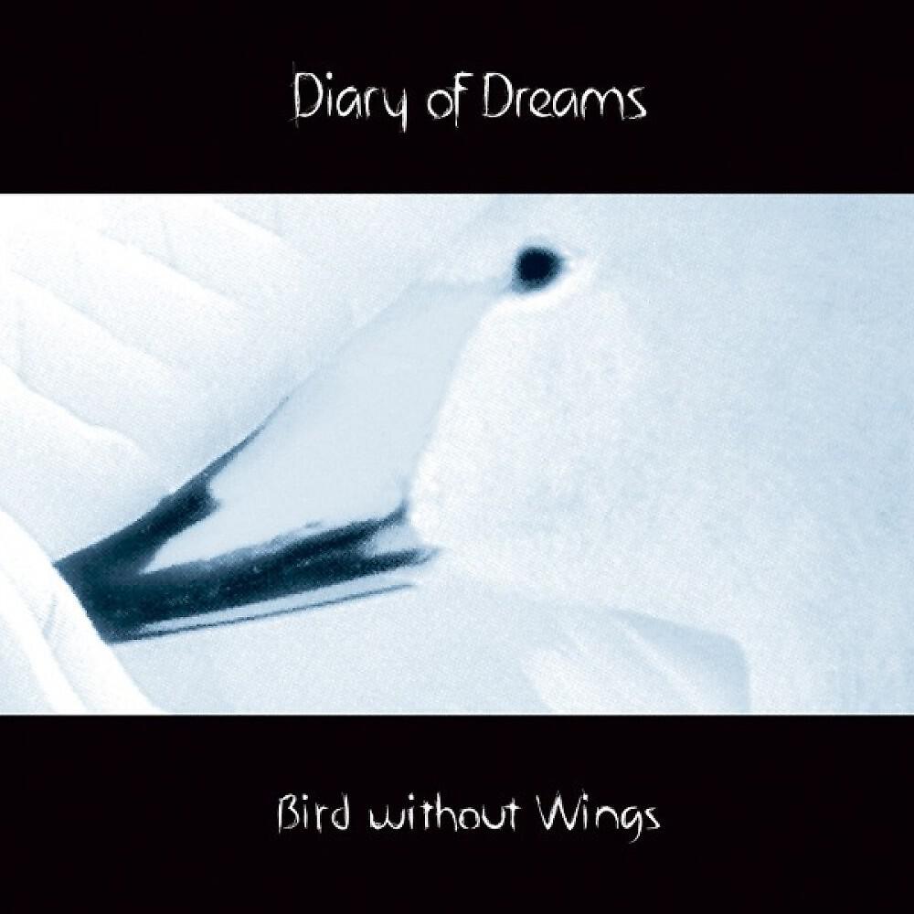 Релиз Bird Without Wings