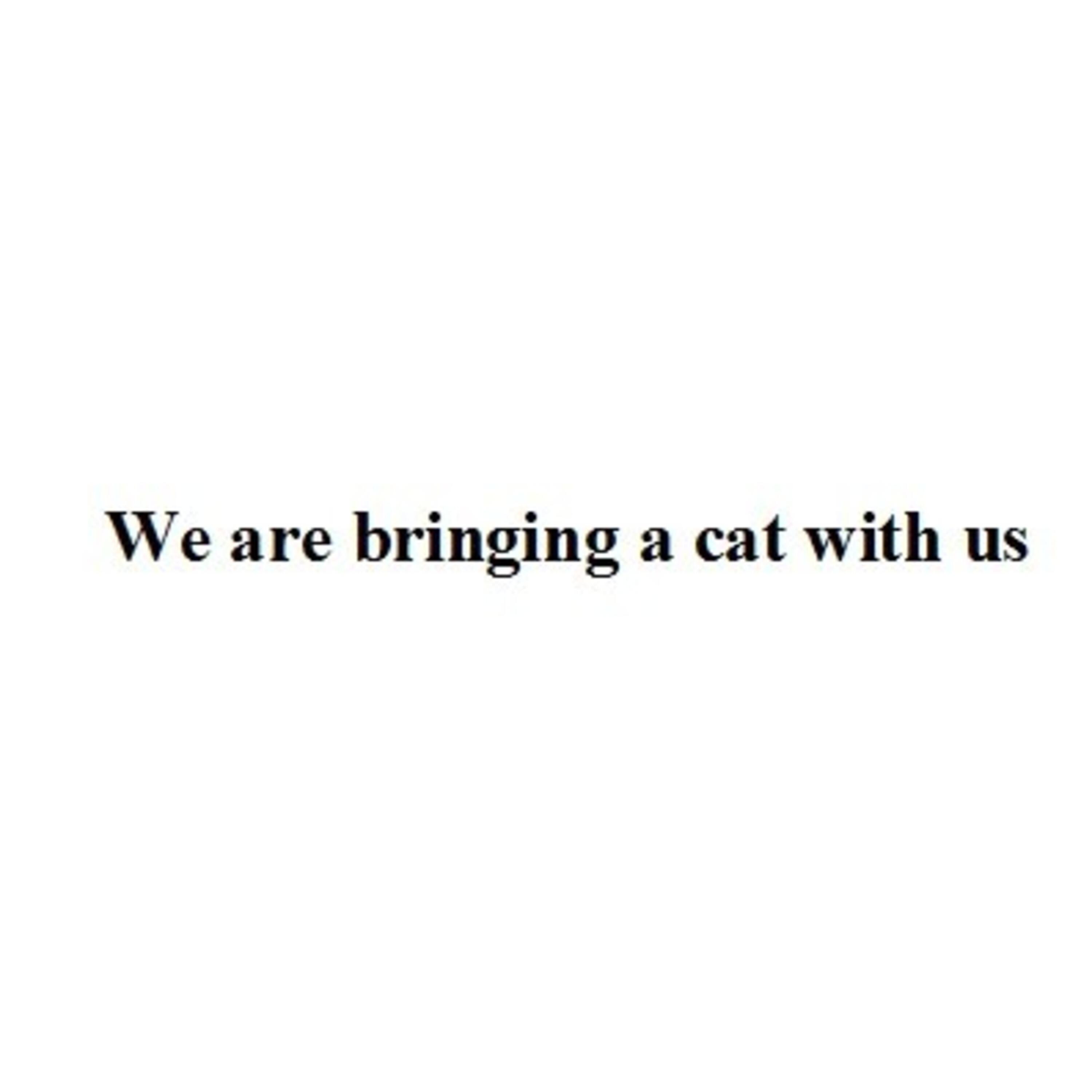 Релиз We are bringing a cat with us