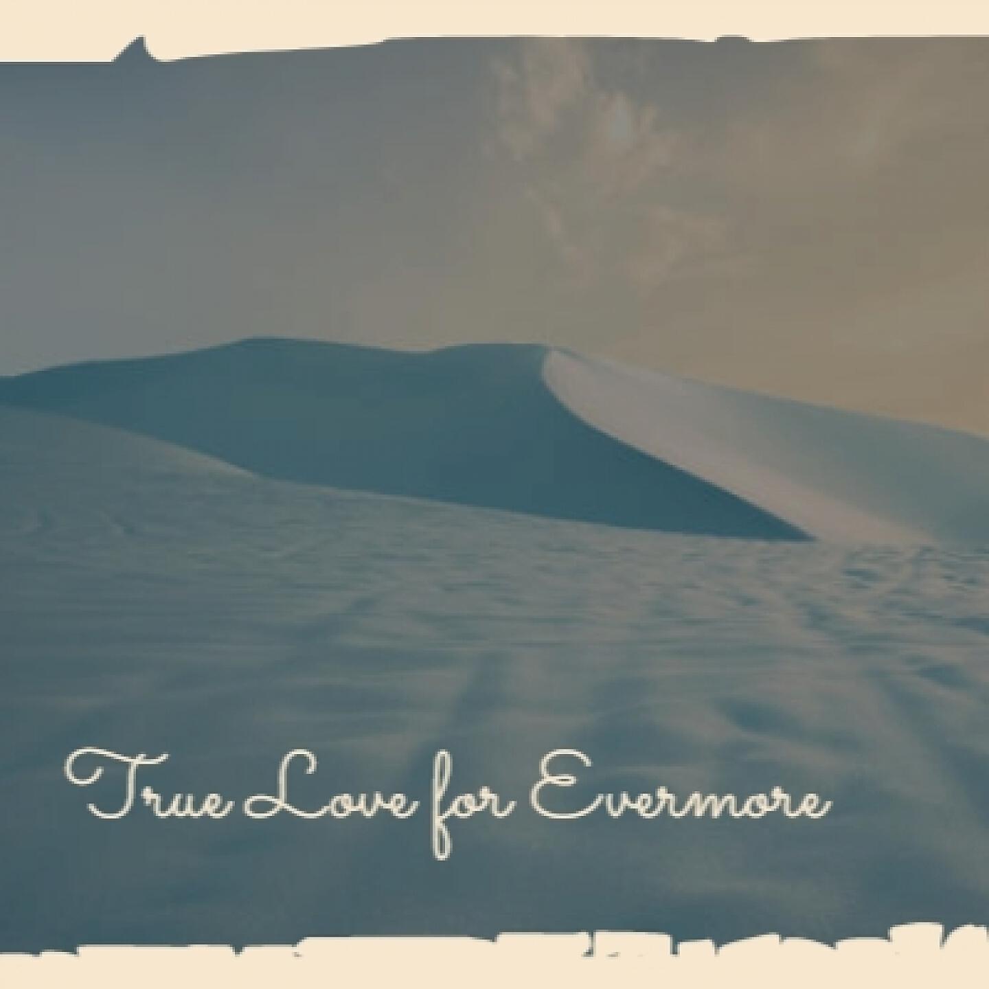 Постер альбома True Love for Evermore