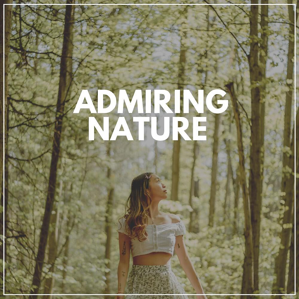 Релиз Admiring Nature