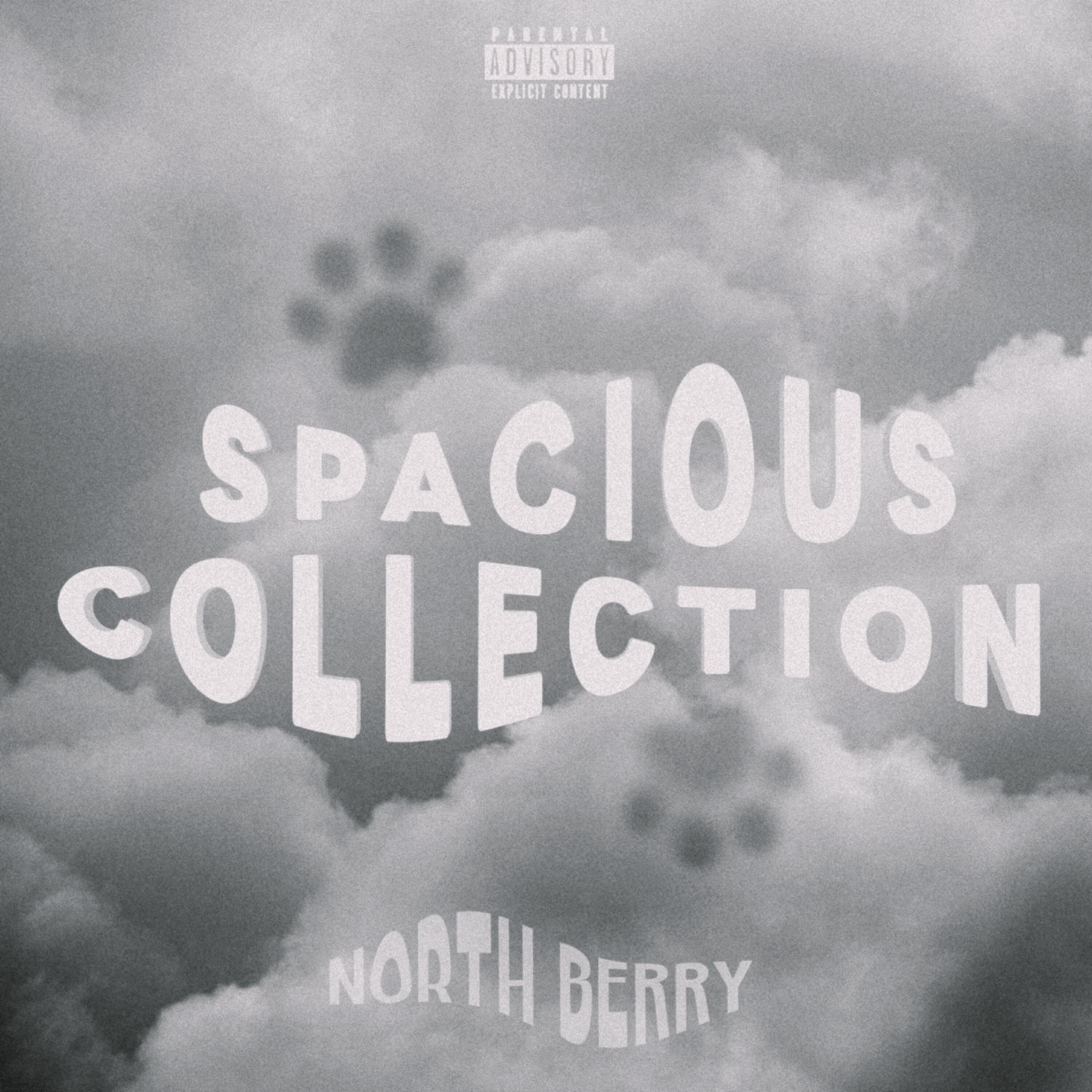 Релиз SPACIOUS COLLECTION