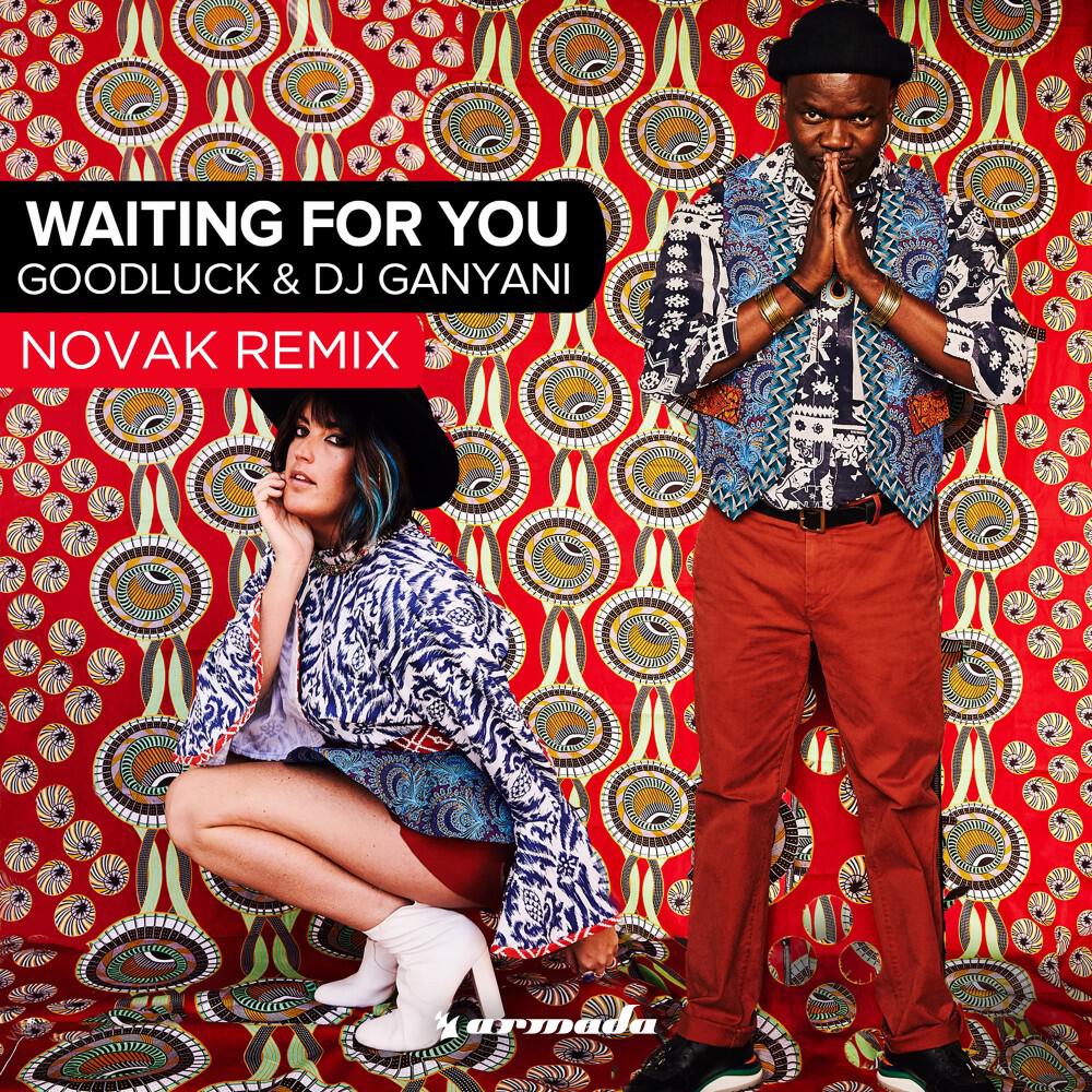 Релиз Waiting for You (Novak Remix)