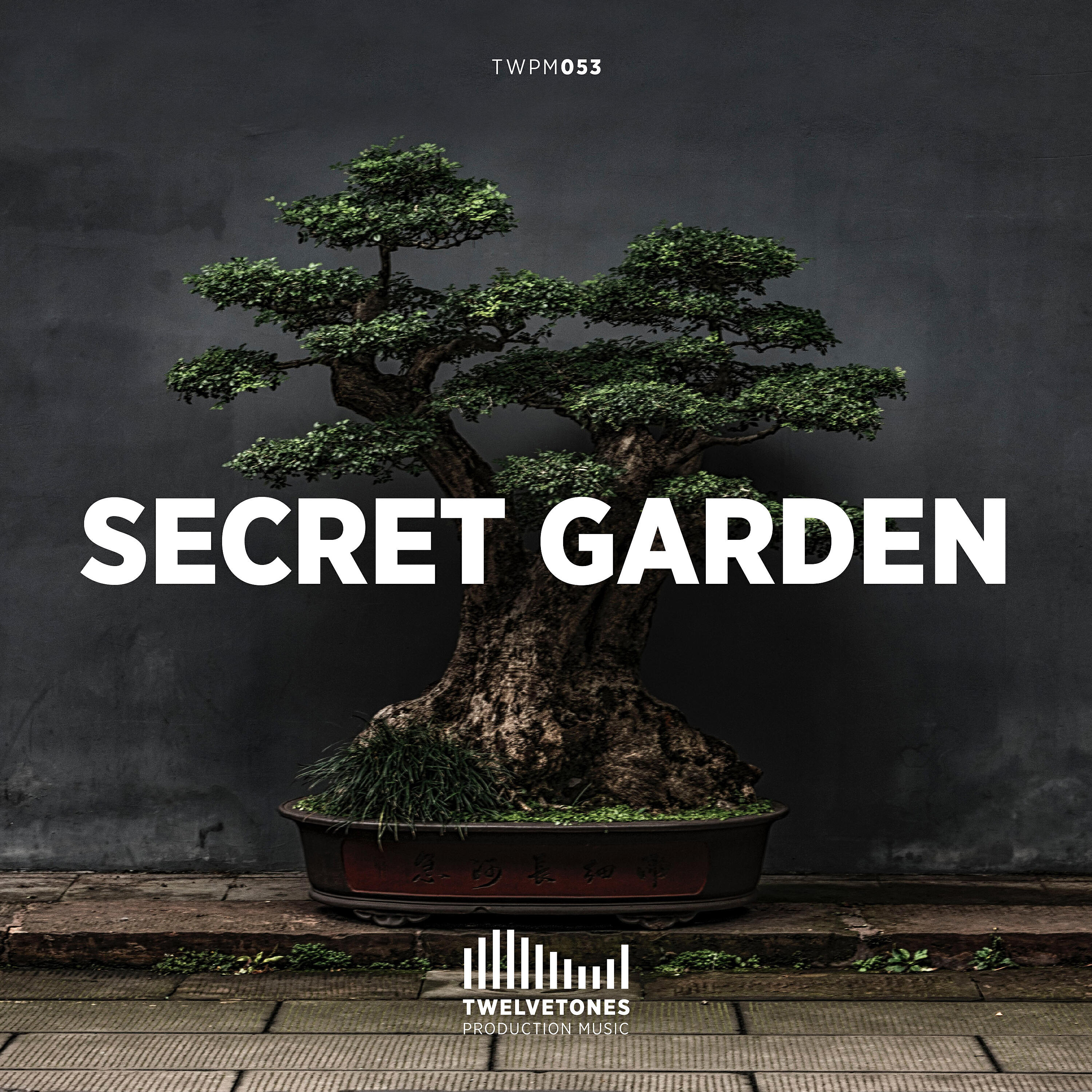 Релиз Secret Garden