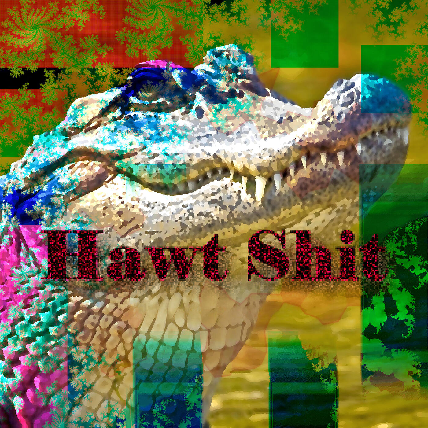 Релиз Hawt Shit