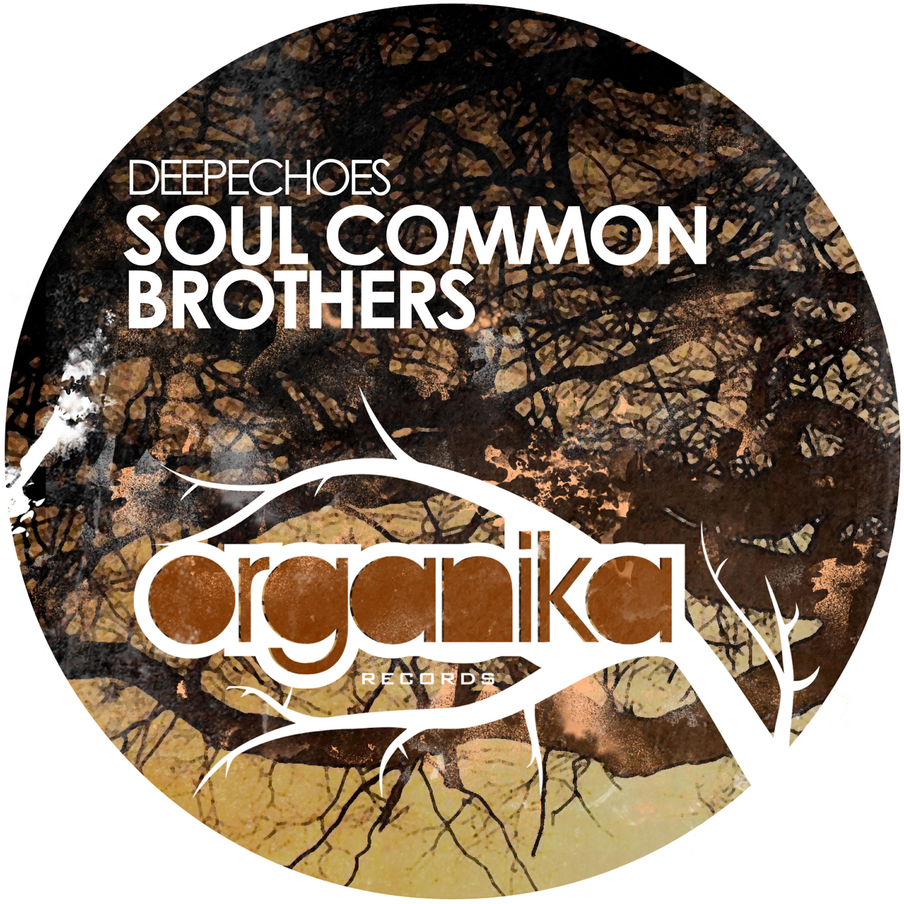 Релиз Soul Common Brothers