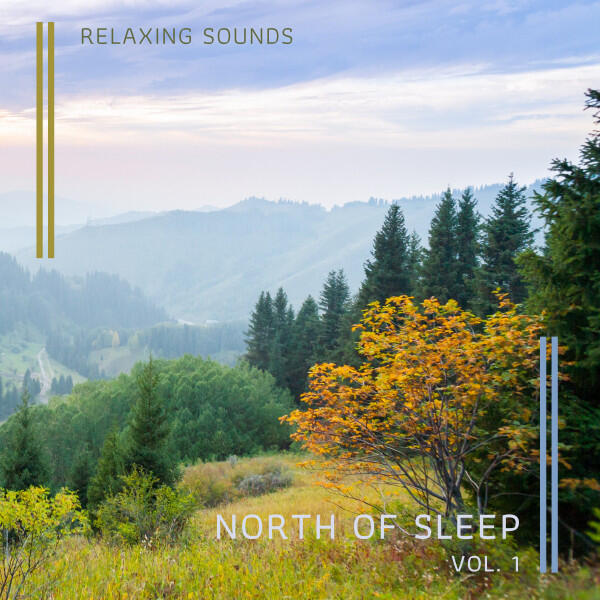 Beyond North