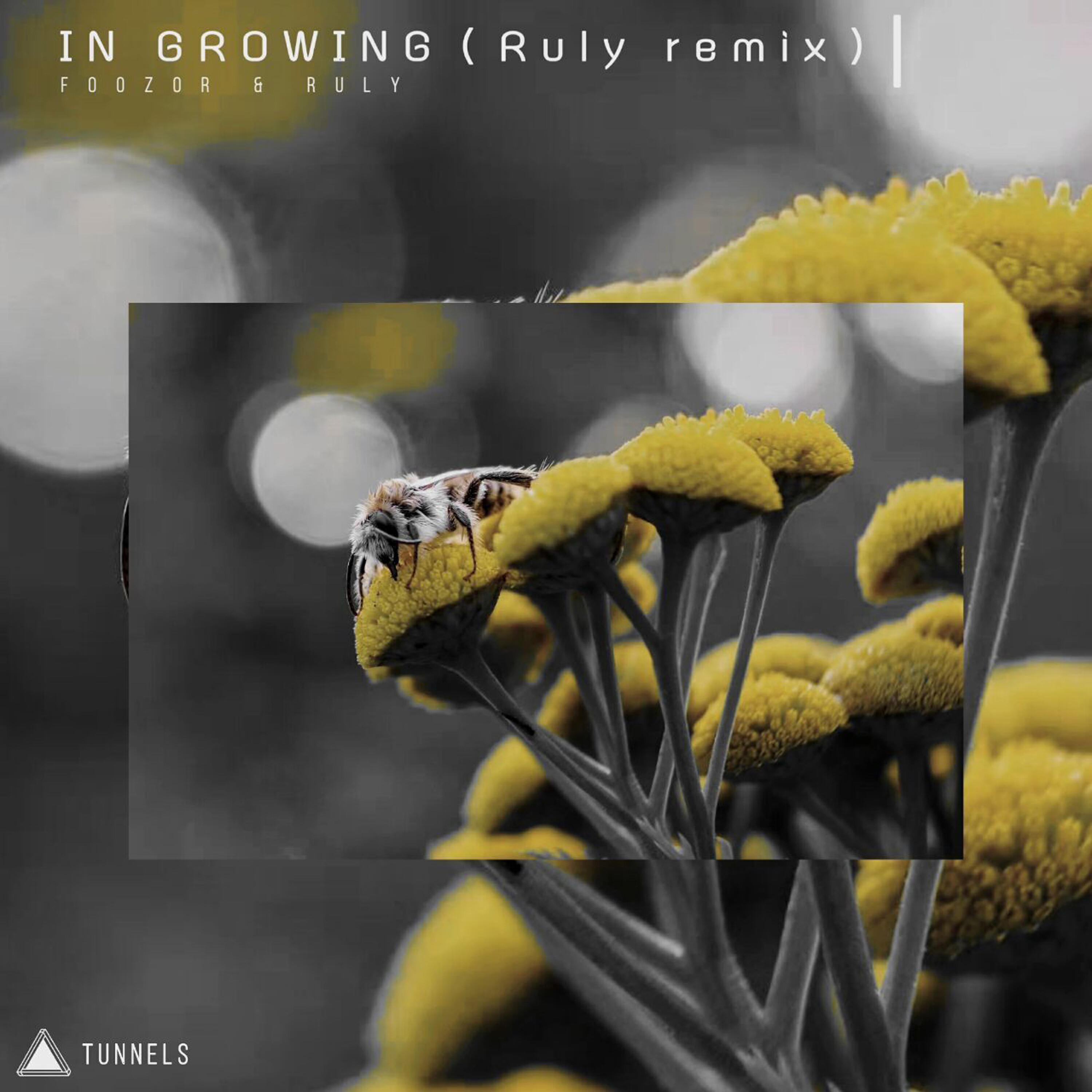 Релиз In Growing