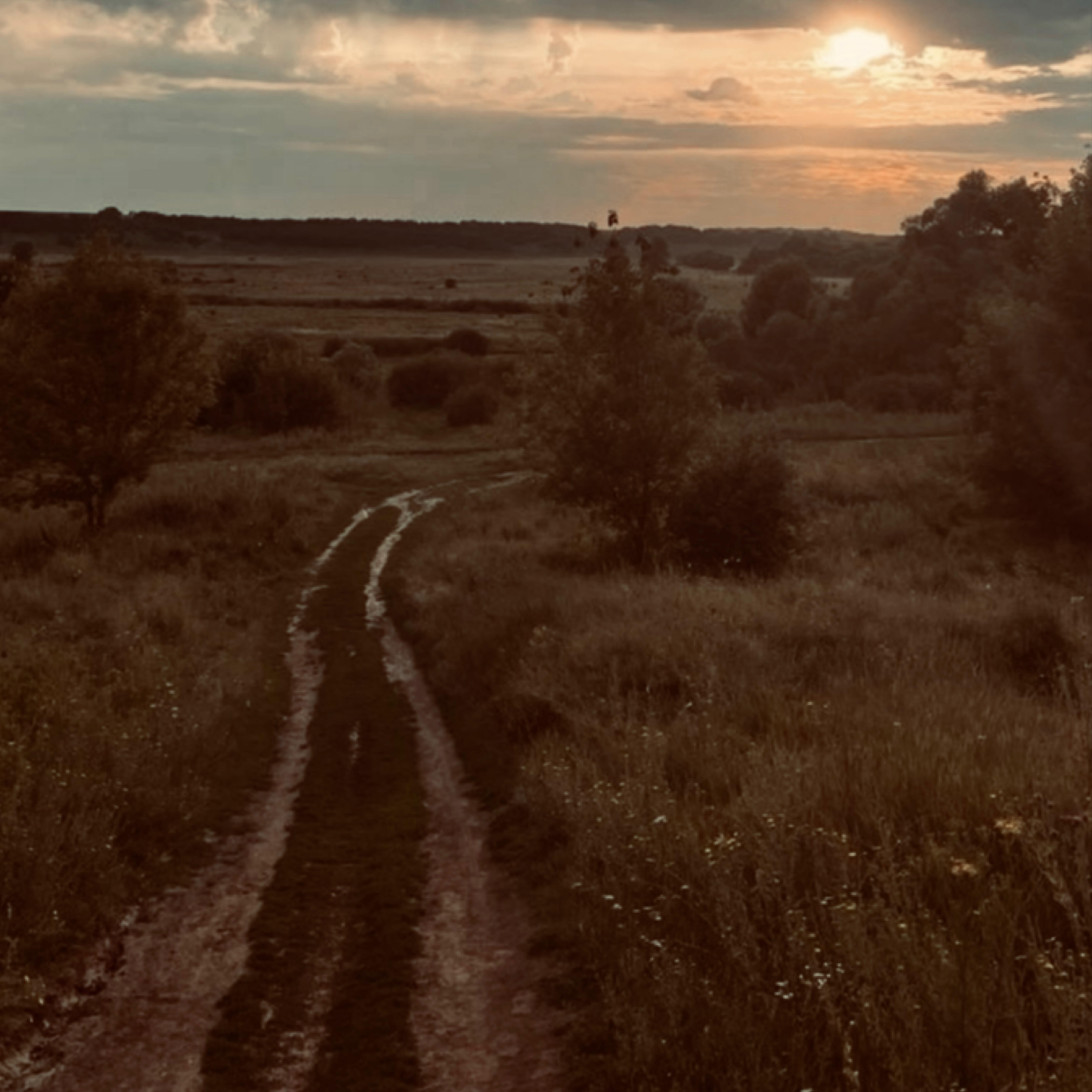 Релиз Черёмуха
