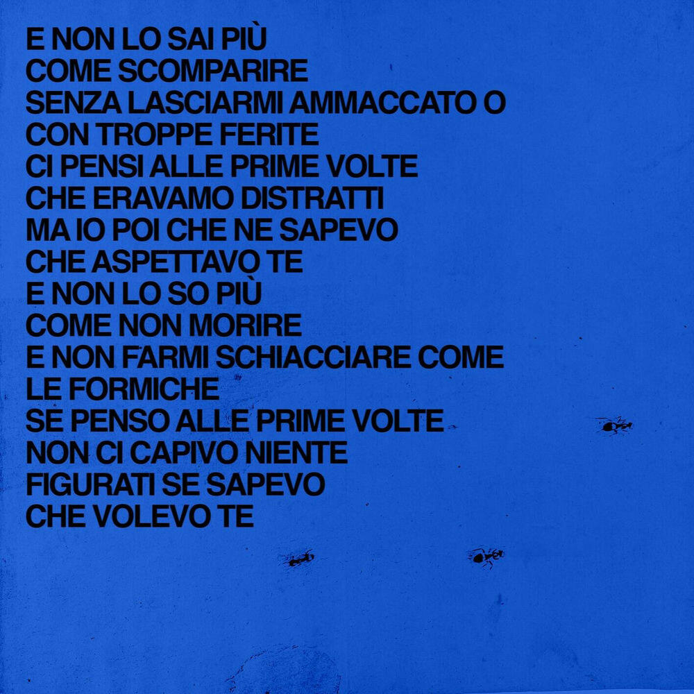 Релиз Formiche