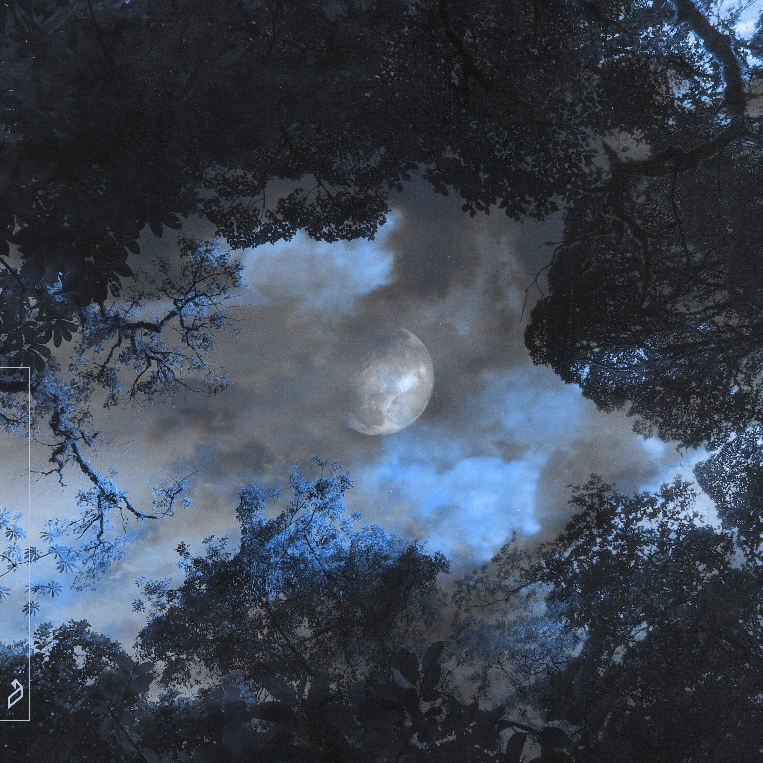 Релиз Holding Me Back (The Kite String Tangle's Stripped Back Version)