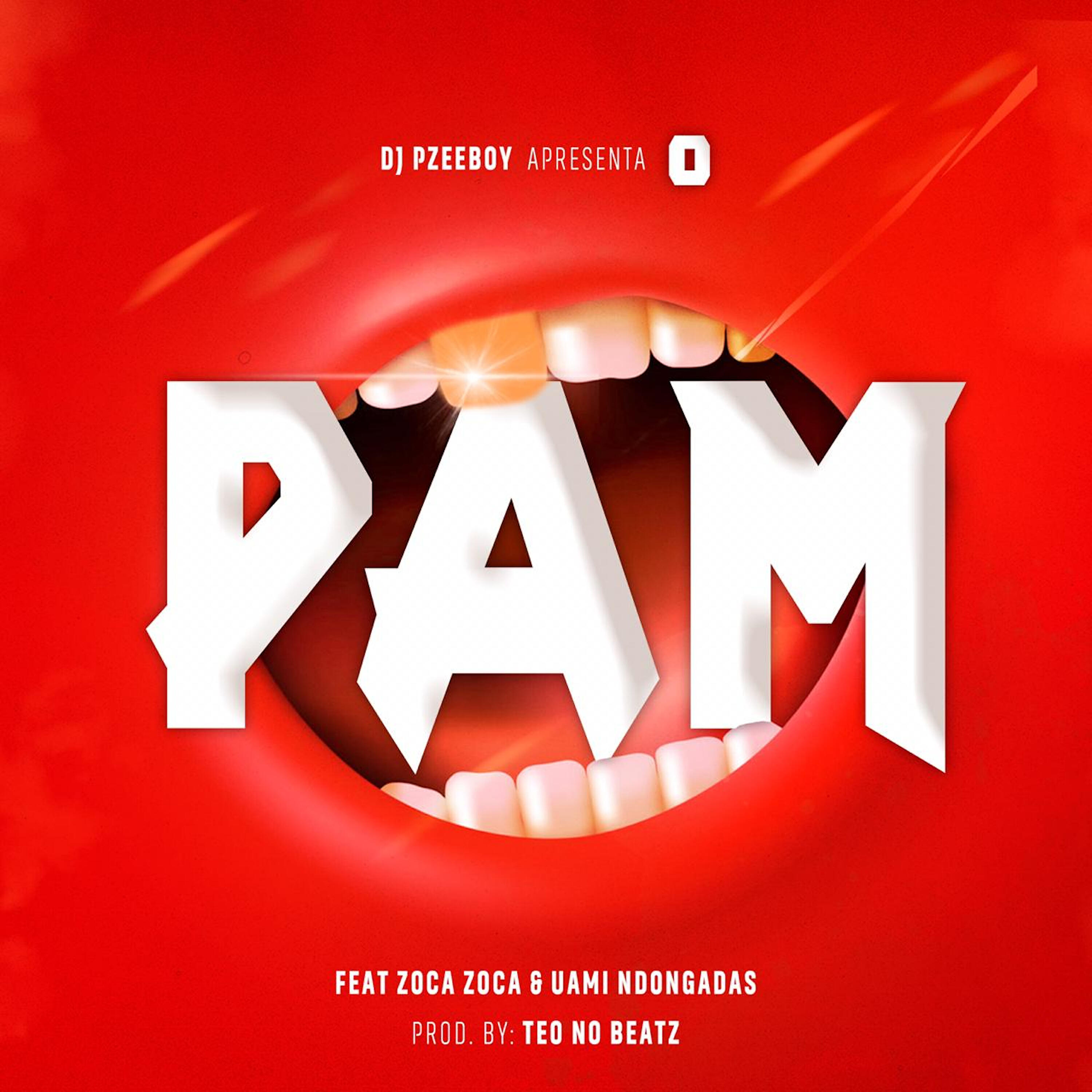 Релиз Pam