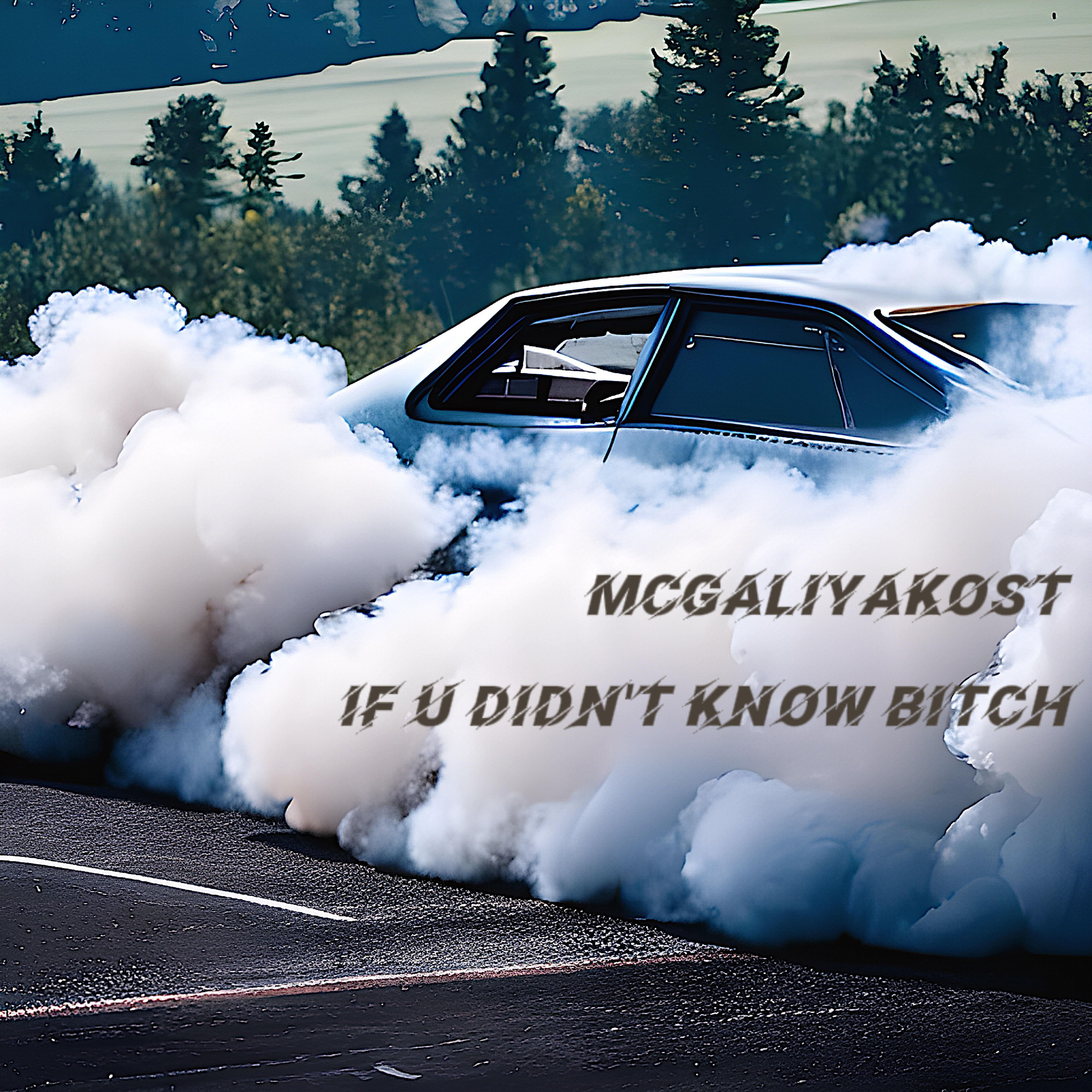 Релиз If U Didn't Know Bitch