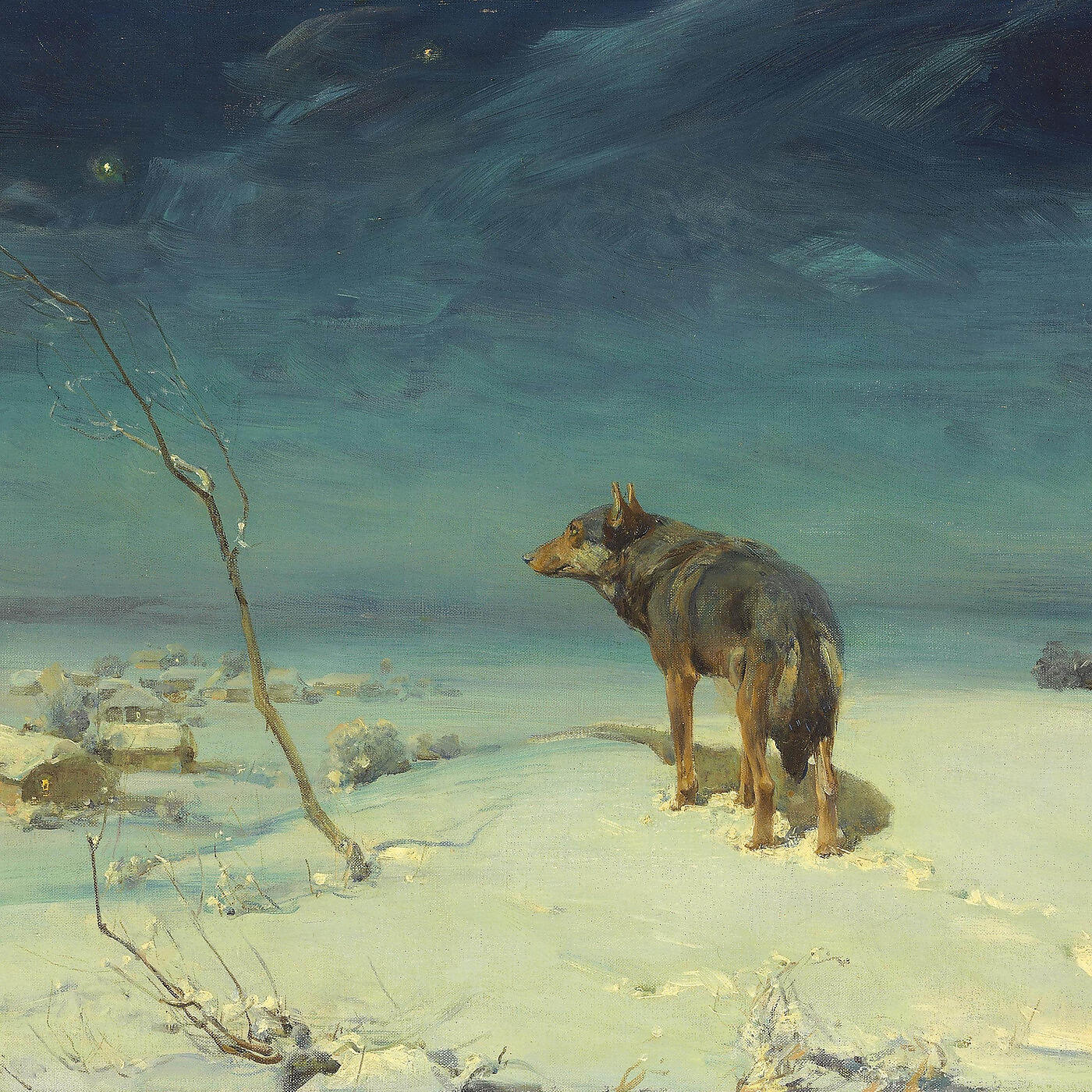 Релиз Coyote