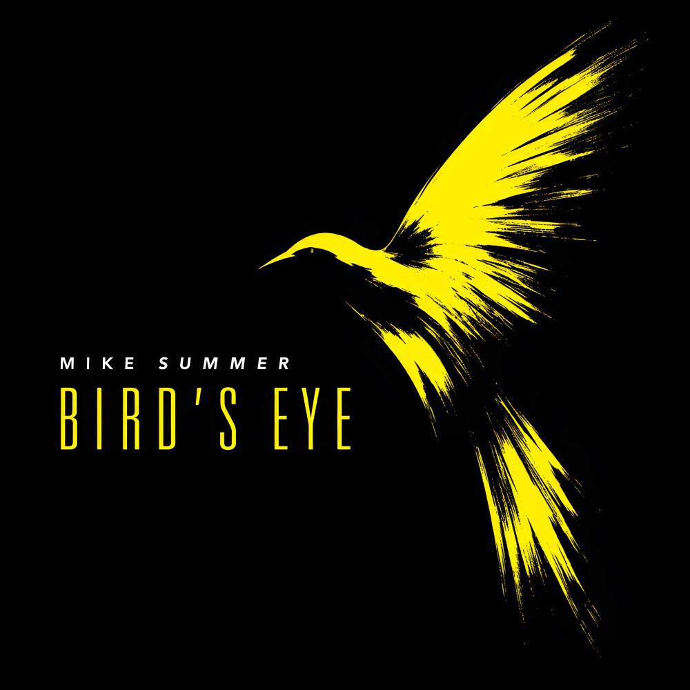 Релиз Bird‘s Eye
