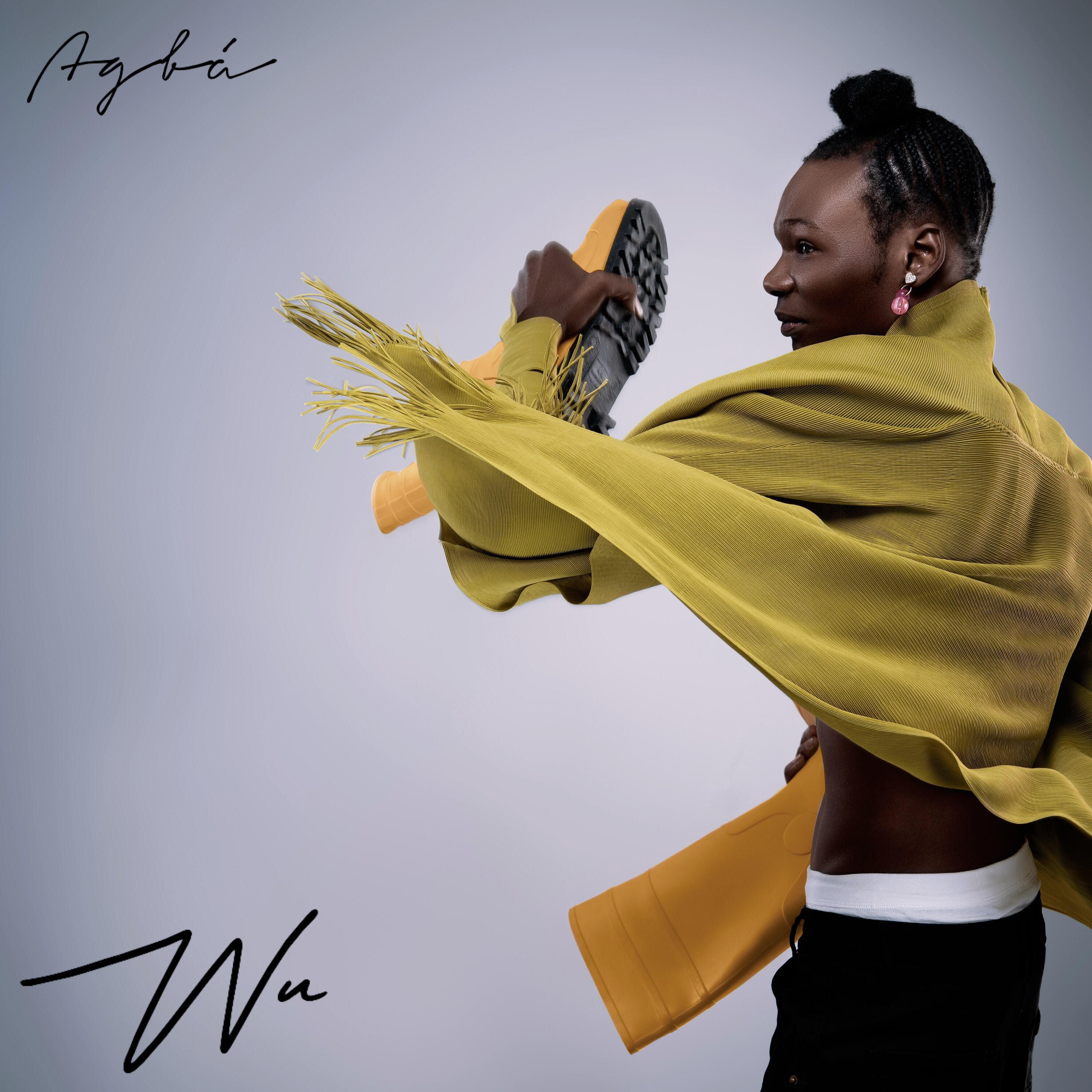 Релиз Wu