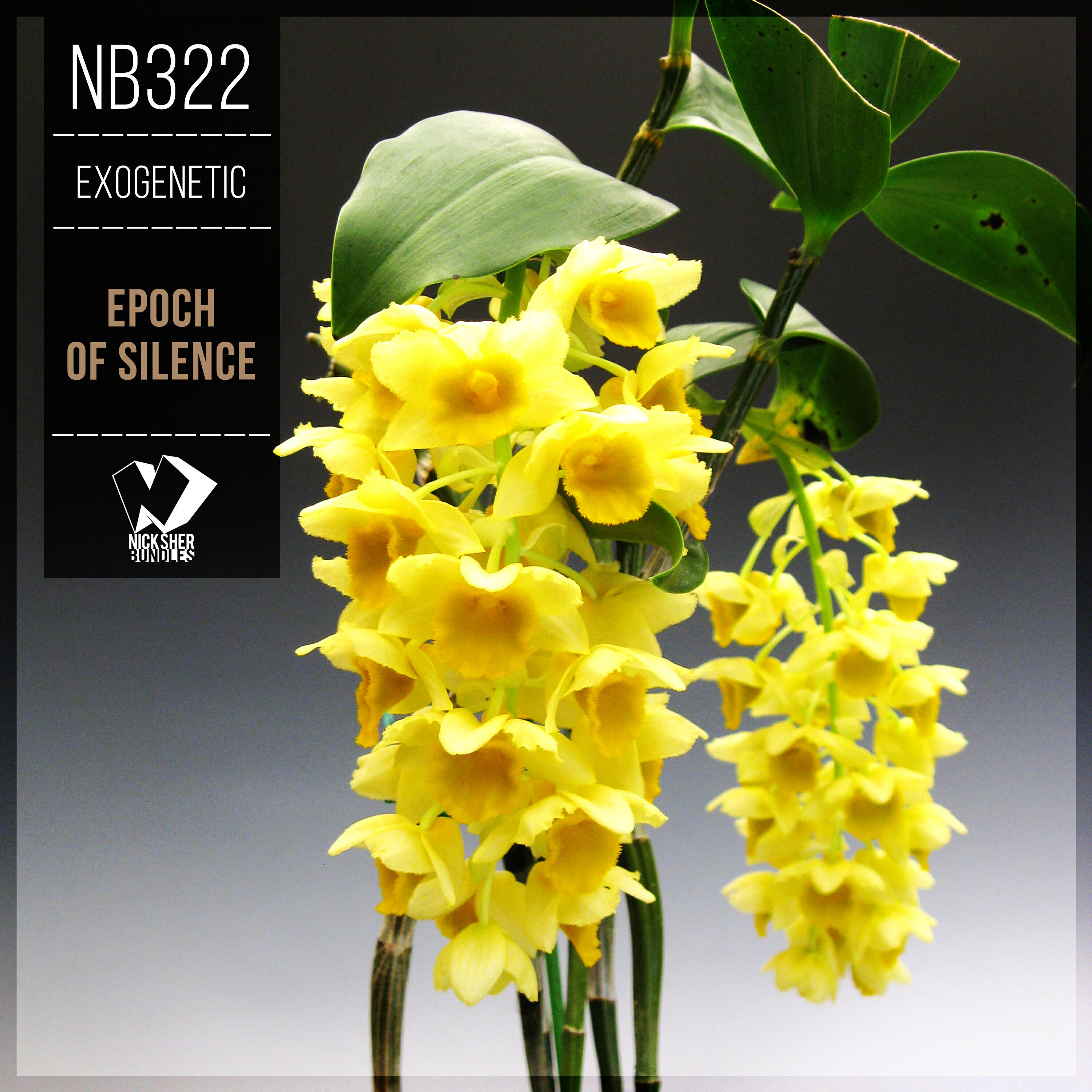 Релиз Epoch of Silence