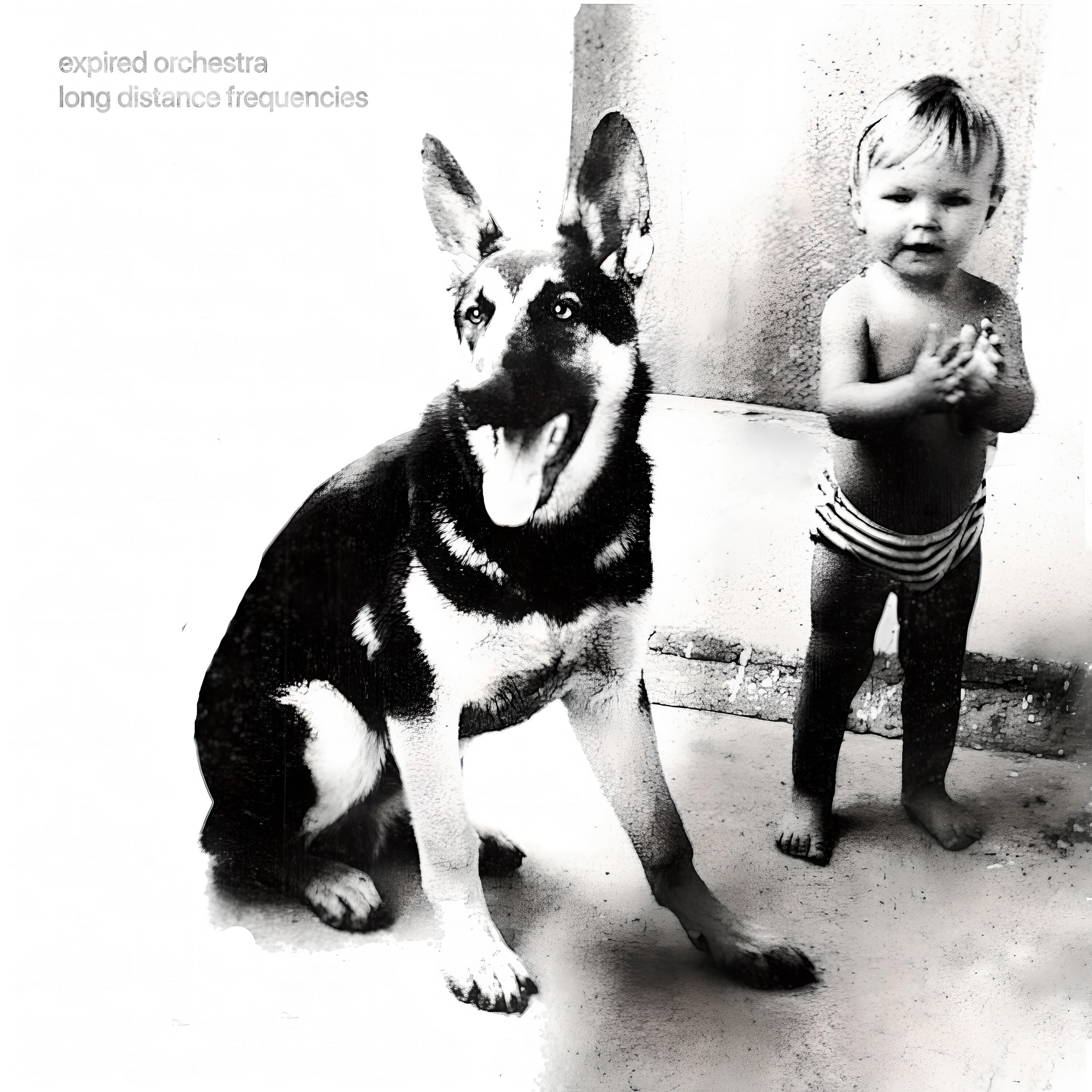 Expired Orchestra