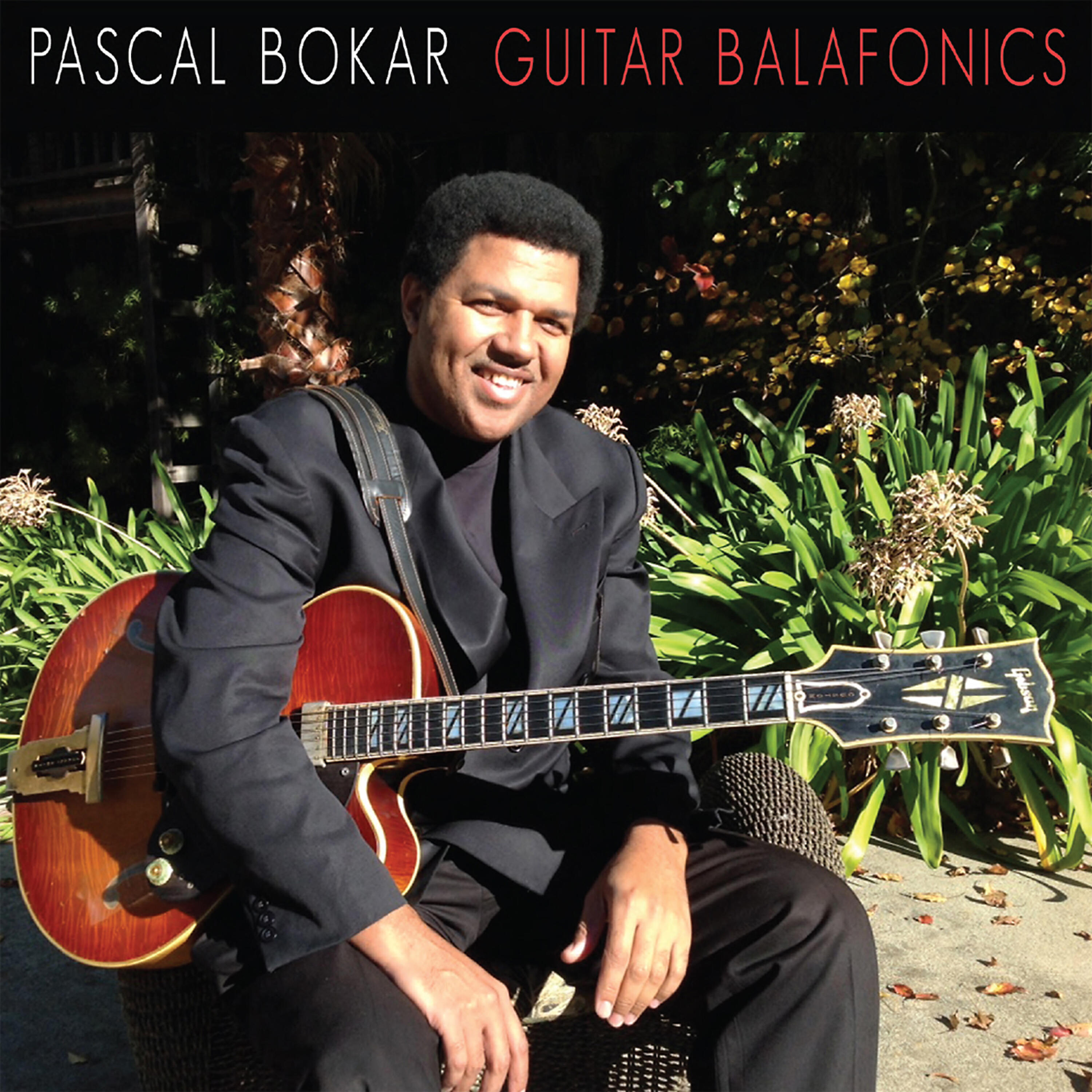 Релиз Guitar Balafonics