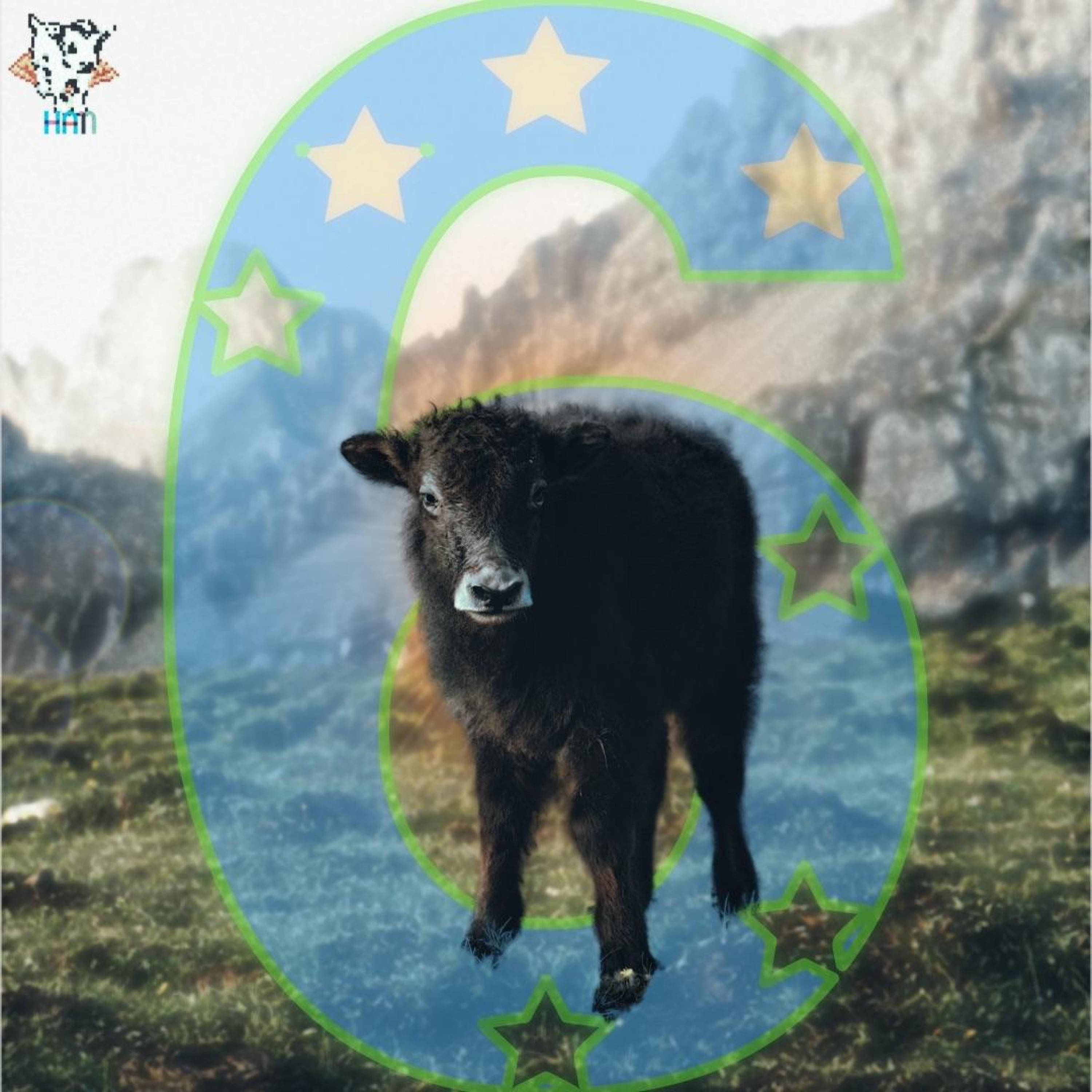 Релиз 6EP
