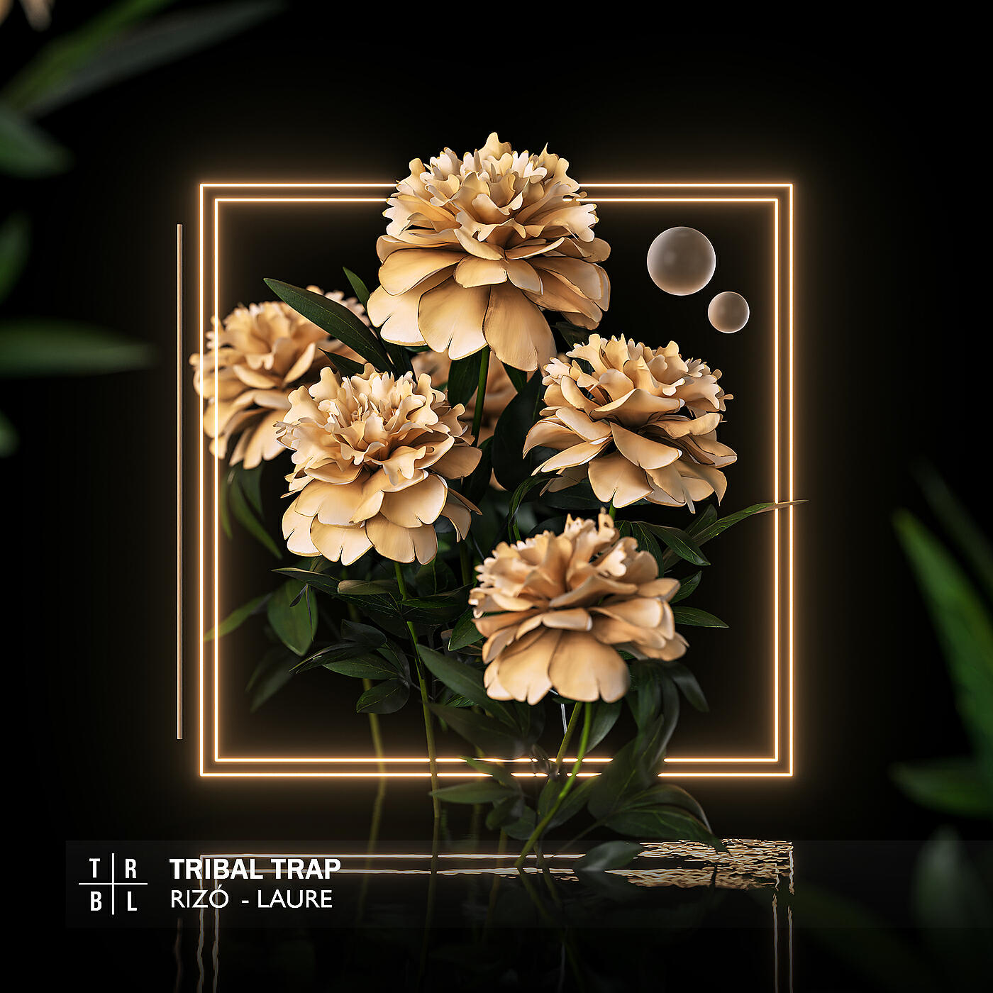Релиз Laure
