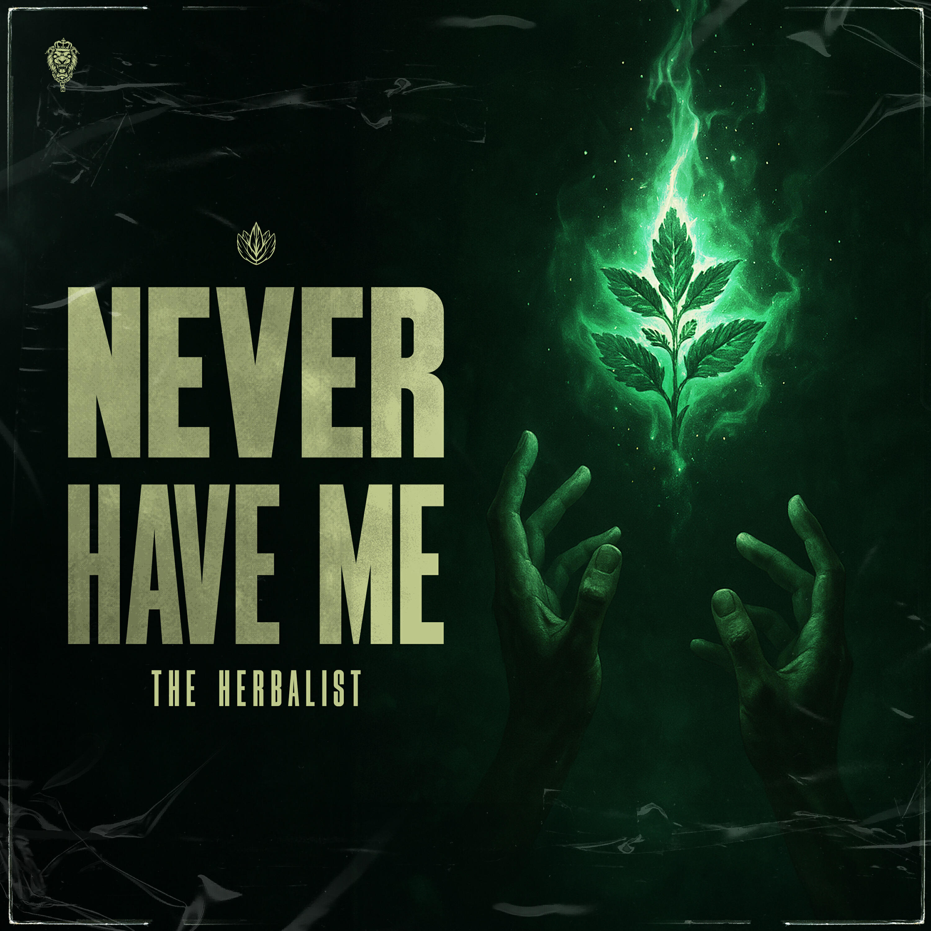 Релиз Never Have Me