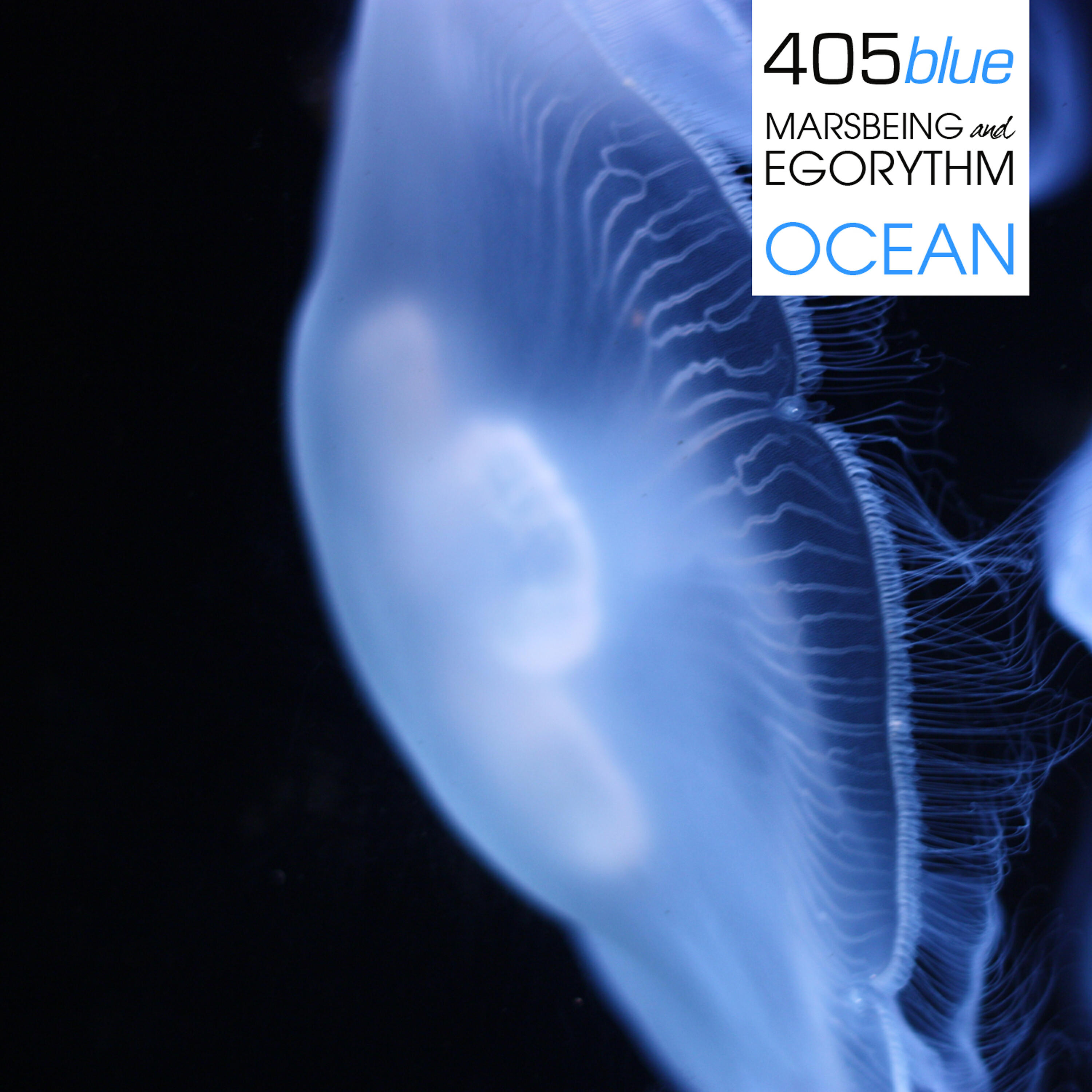 Релиз Ocean