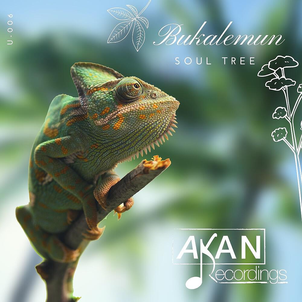 Релиз Soul Tree