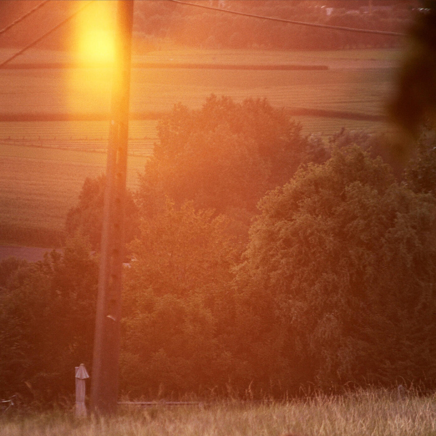 Релиз Morning in Sports Avenue