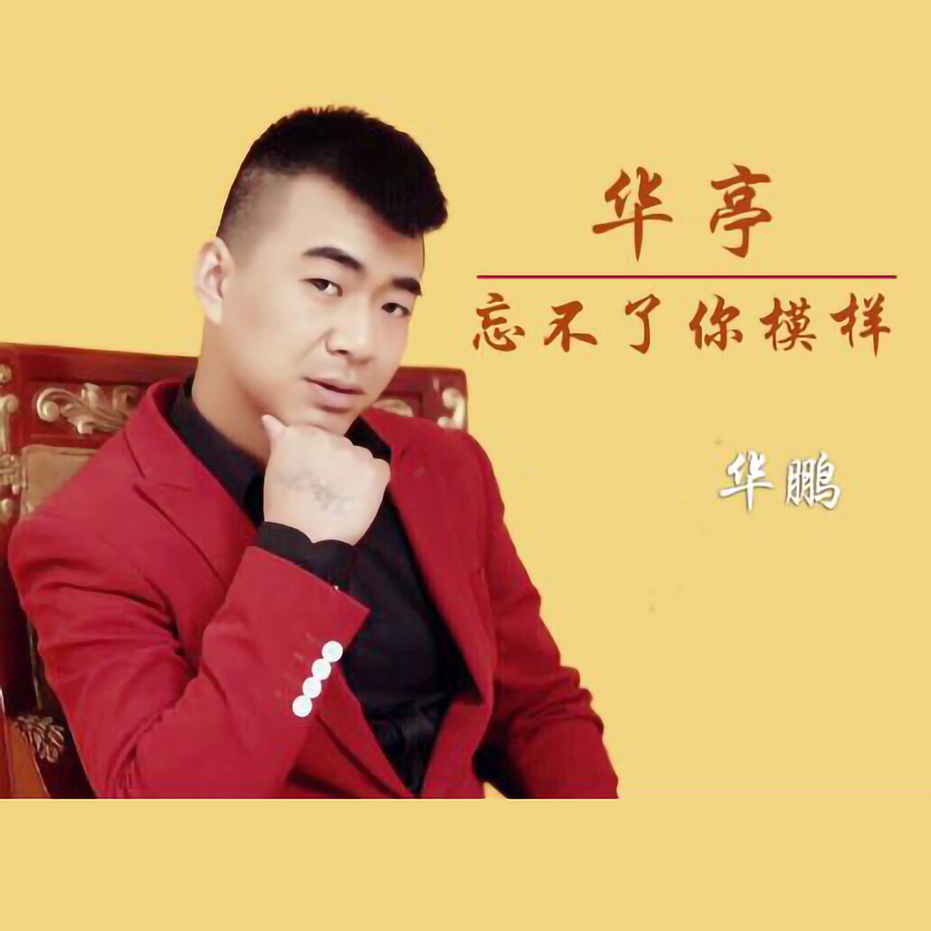 Релиз 华亭忘不了你的模样