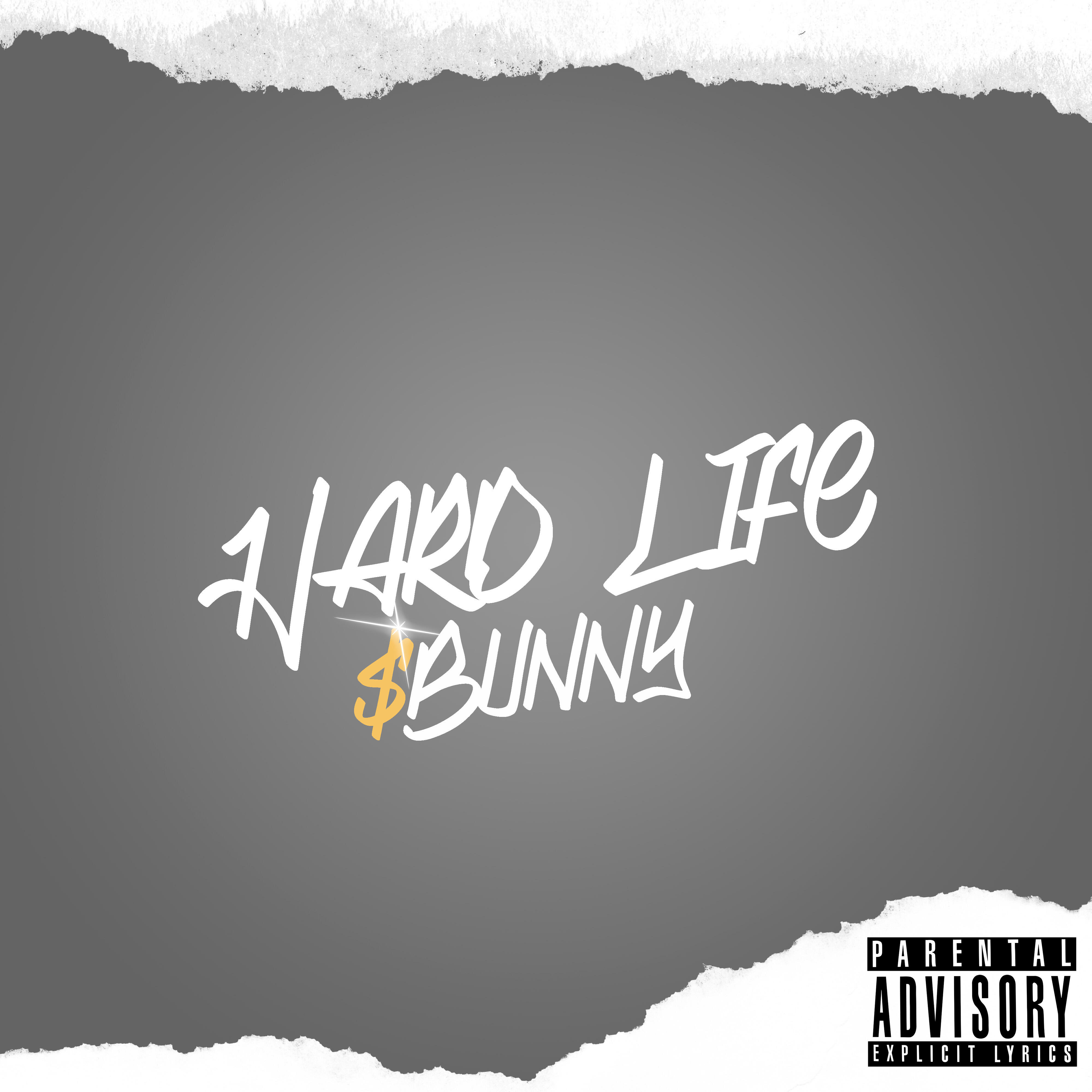 Релиз Hard Life