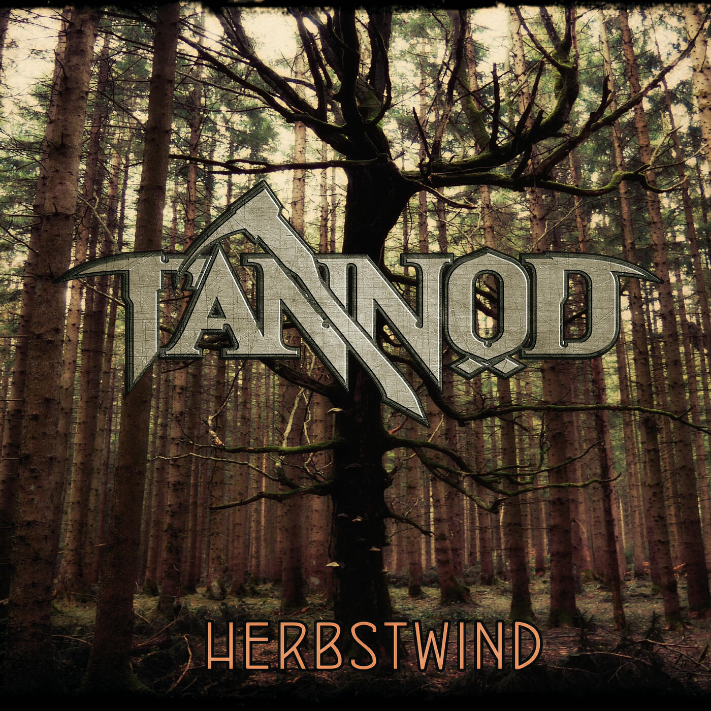 Релиз Herbstwind
