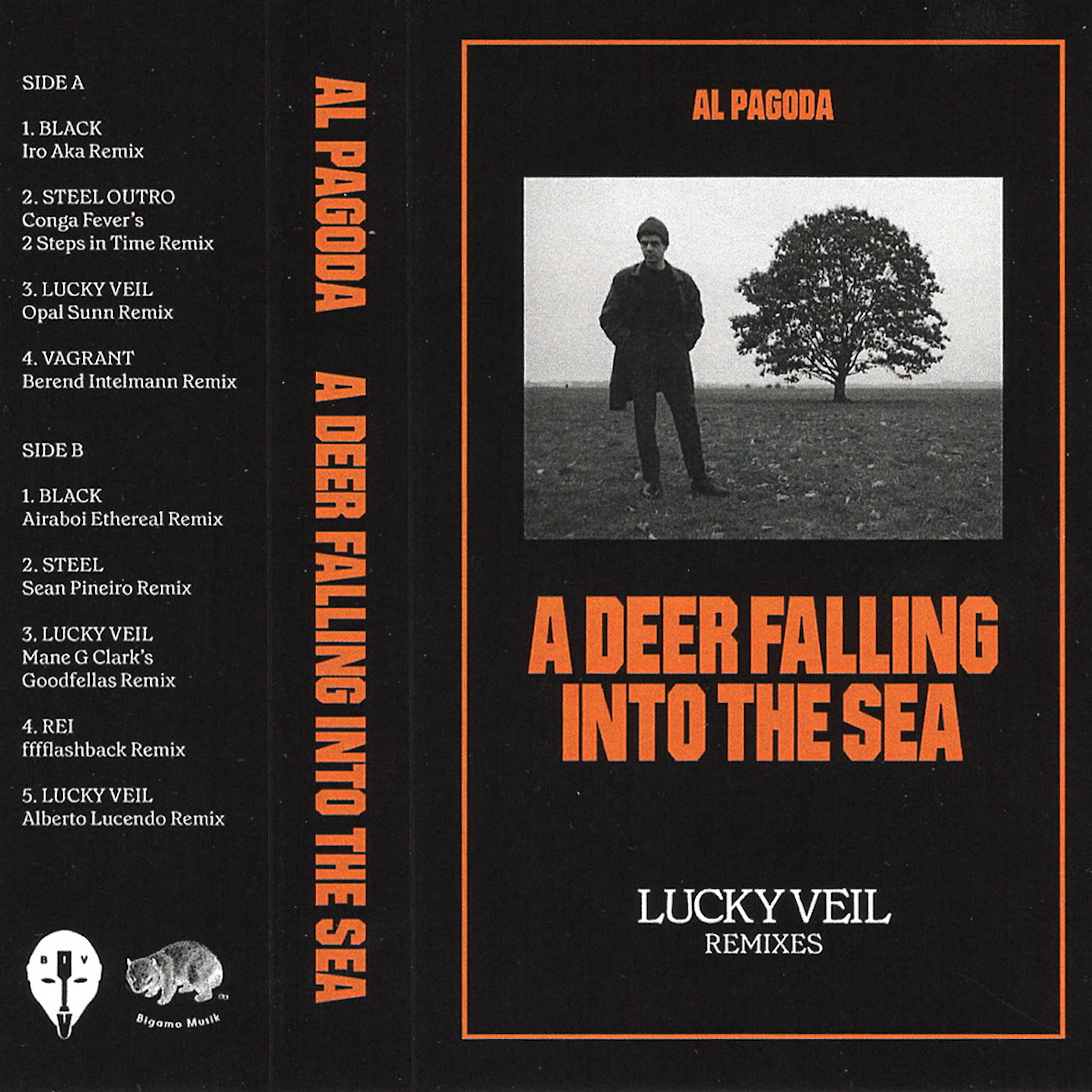 Релиз A Deer Falling into the Sea (Lucky Veil Remixes)