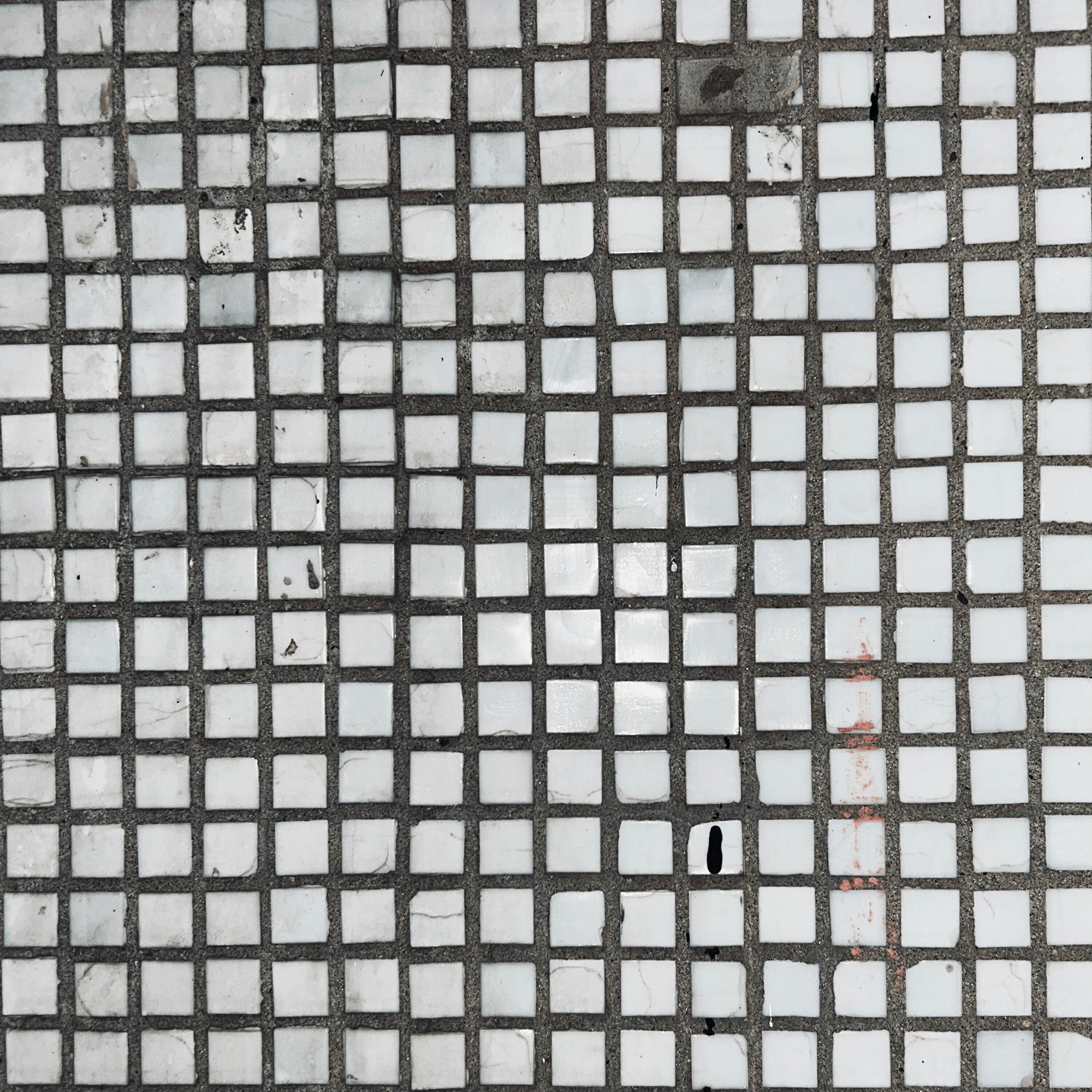 Боня Туркестанский