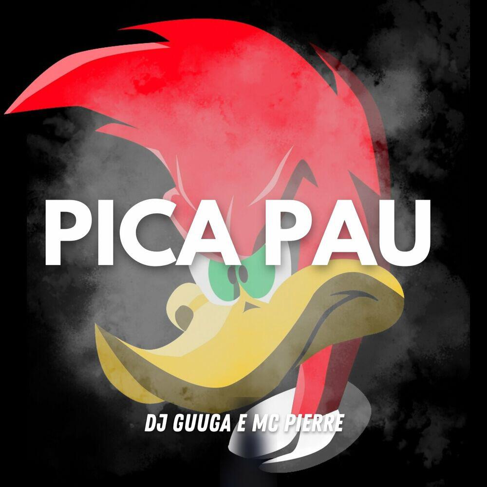 Релиз PICA PAU