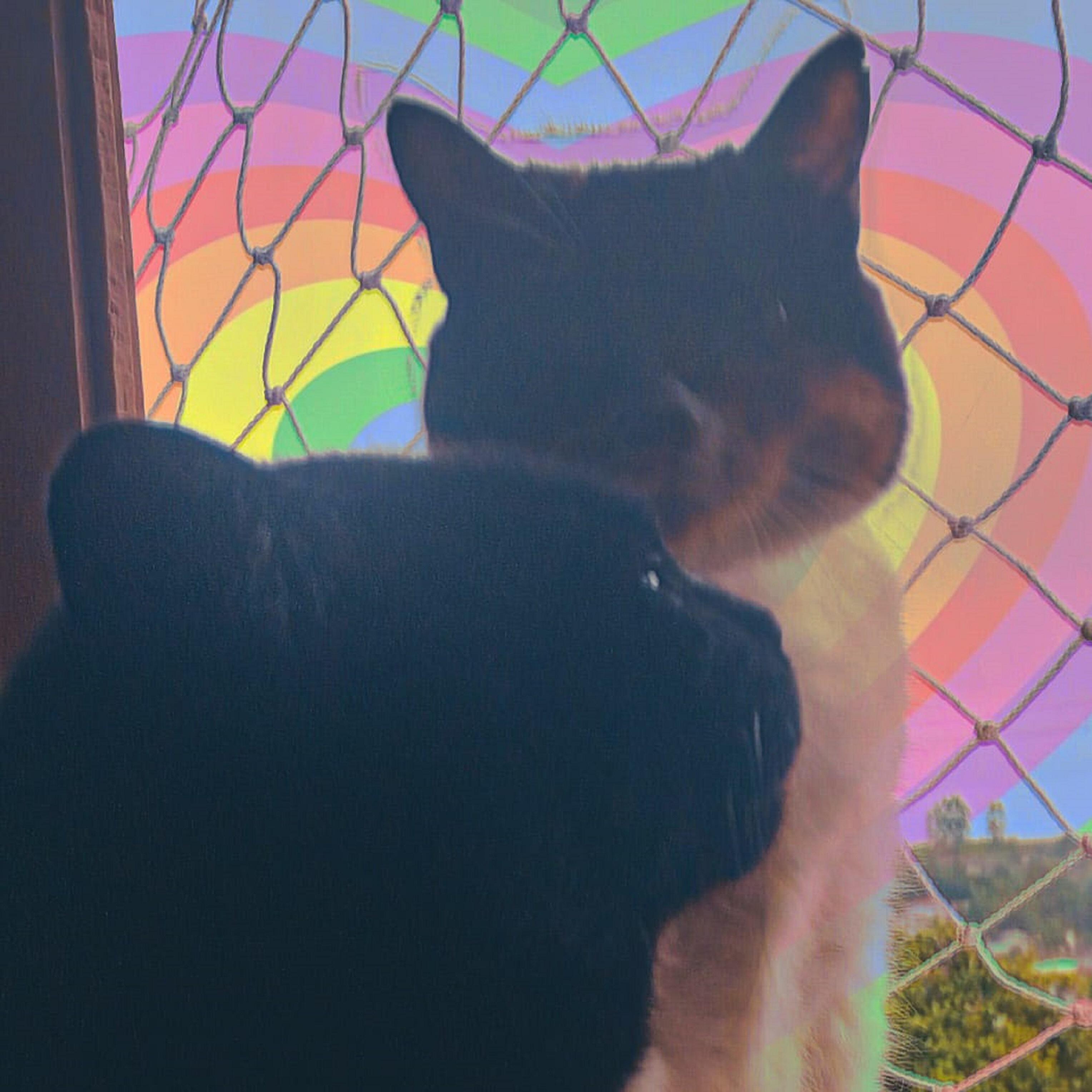 Релиз Øøhøø