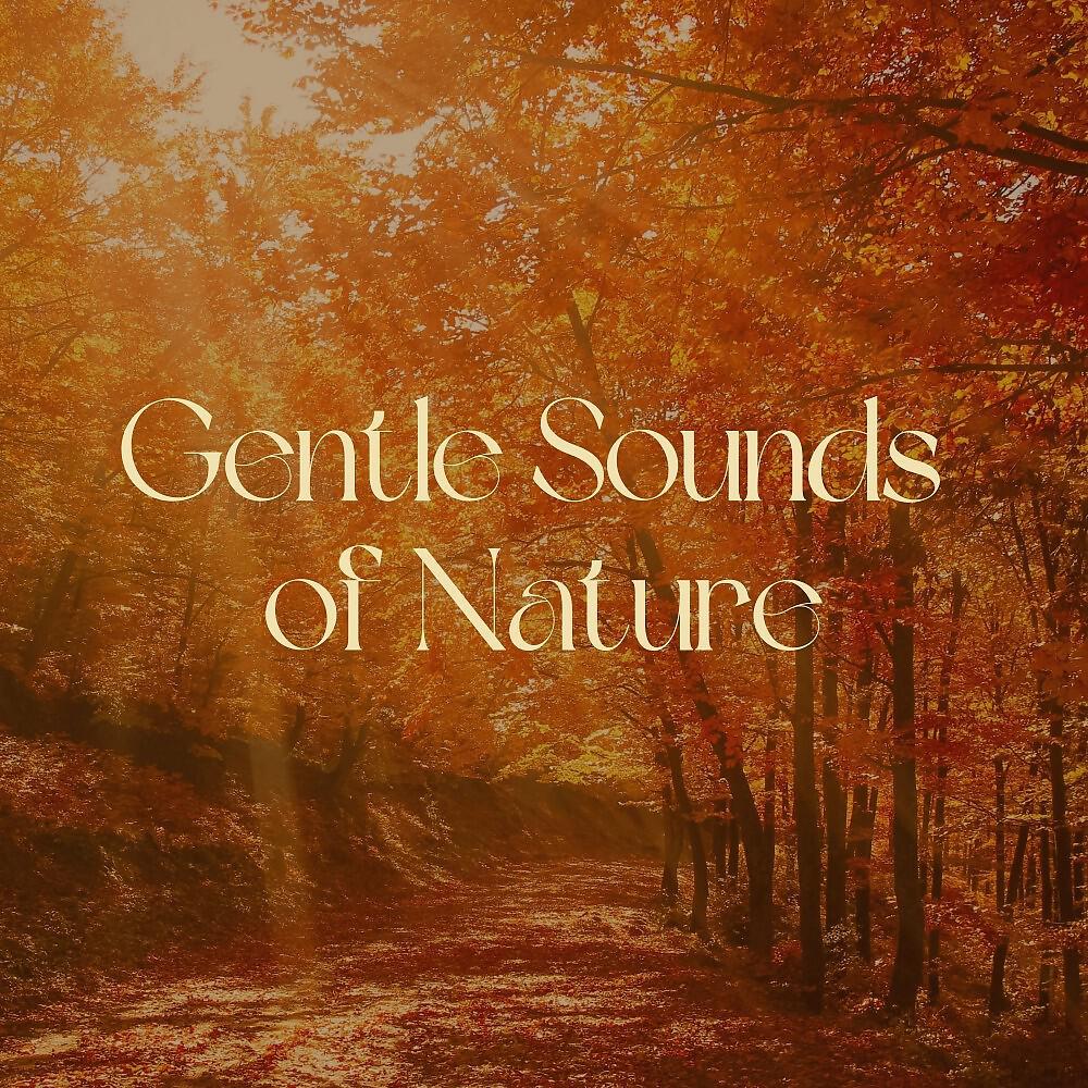 Релиз Gentle Sounds of Nature