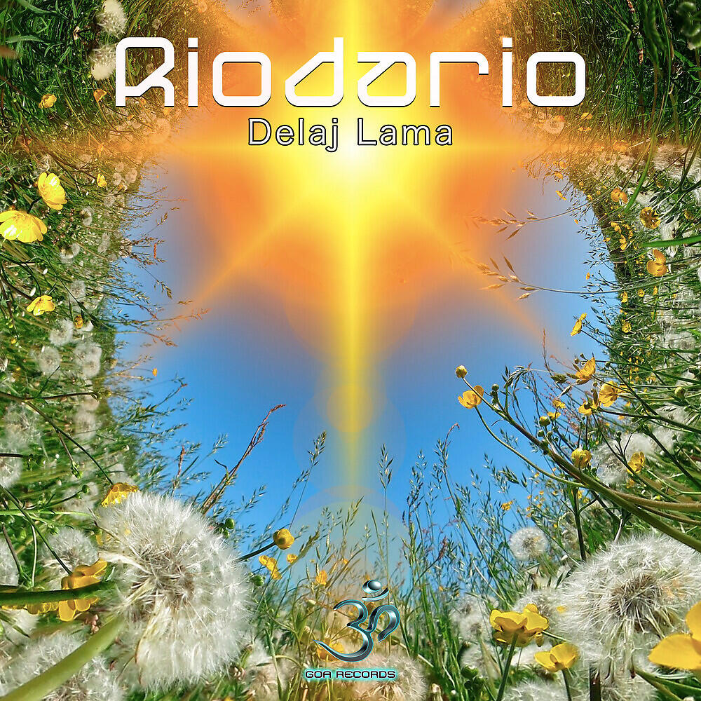 Релиз Delaj Lama