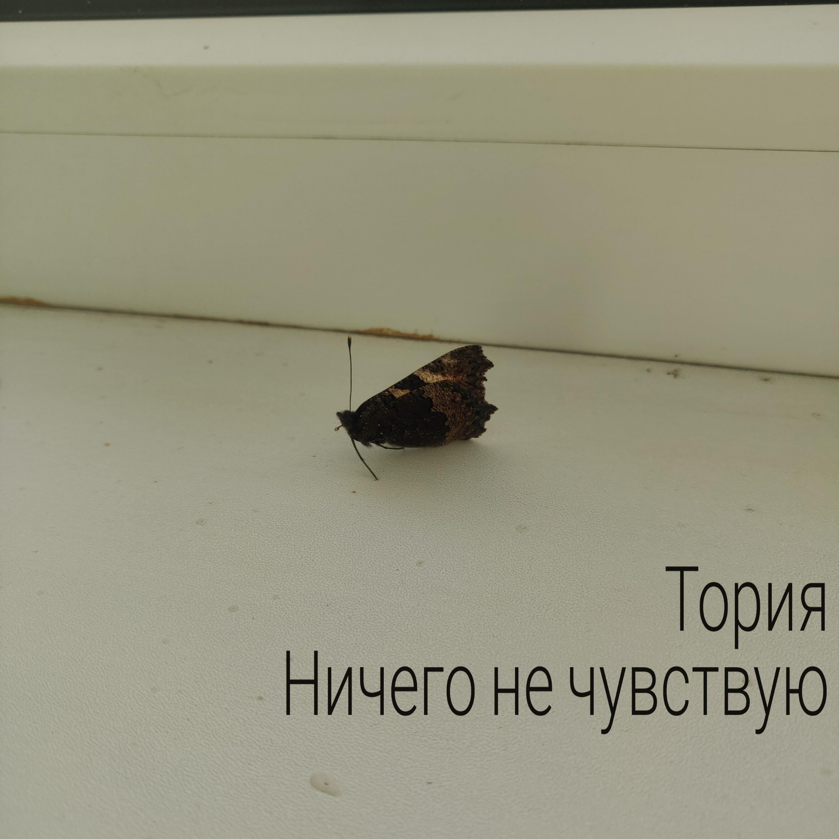 Релиз Ничего не чувствую