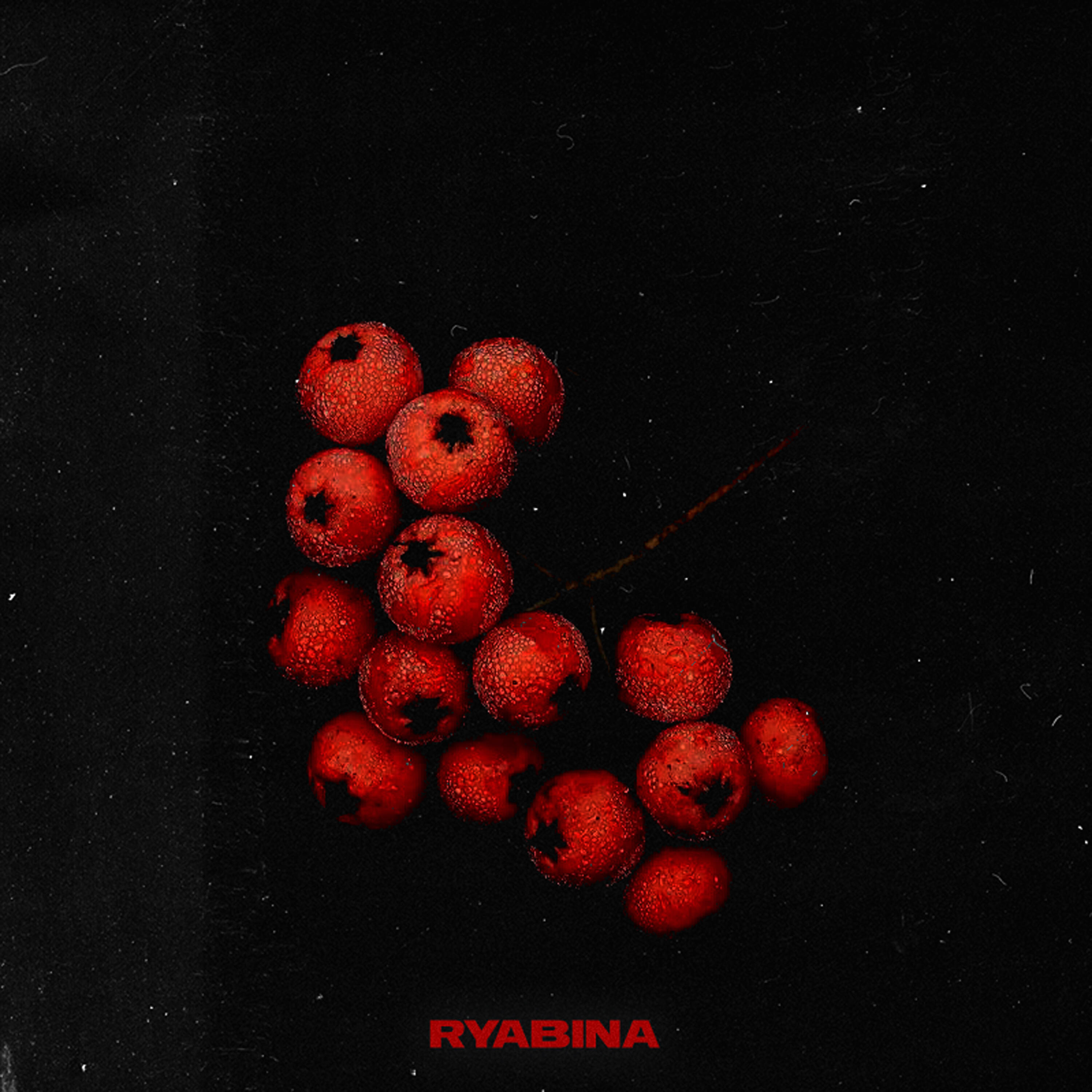 Релиз RYABINA