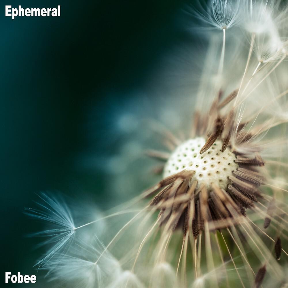 Постер альбома Ephemeral