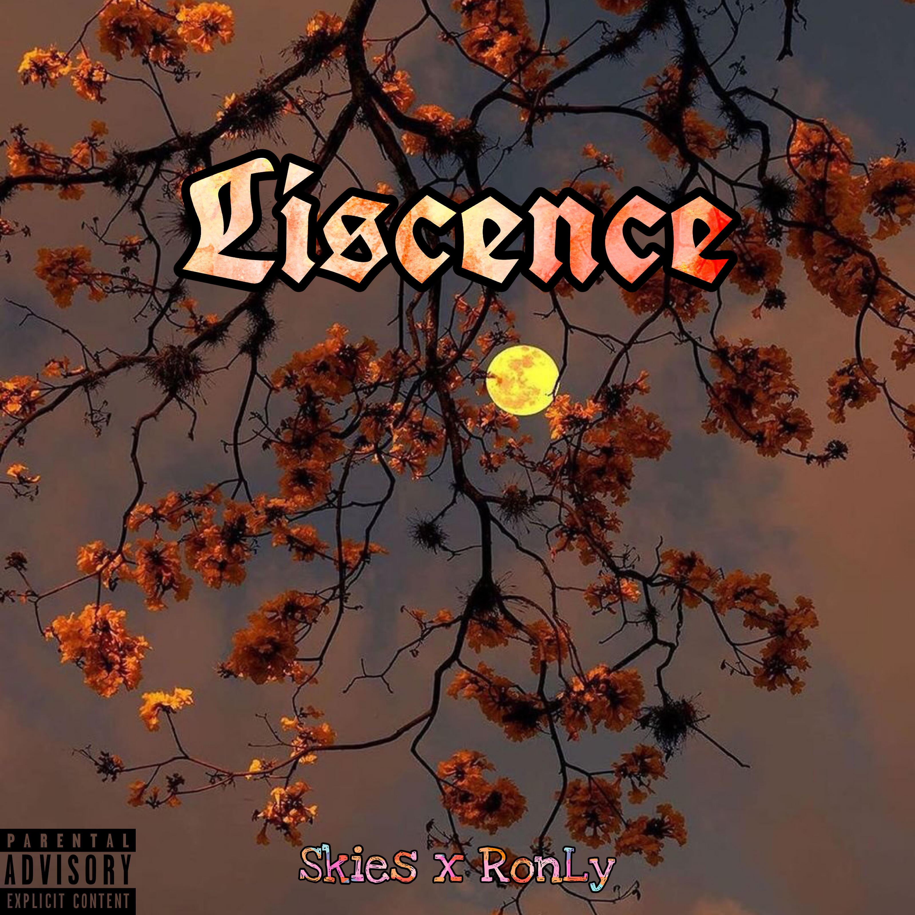 Релиз Liscence