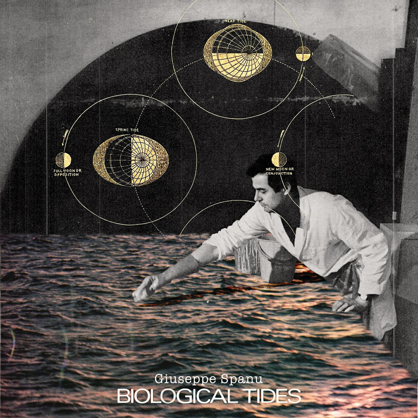 Релиз Biological Tides
