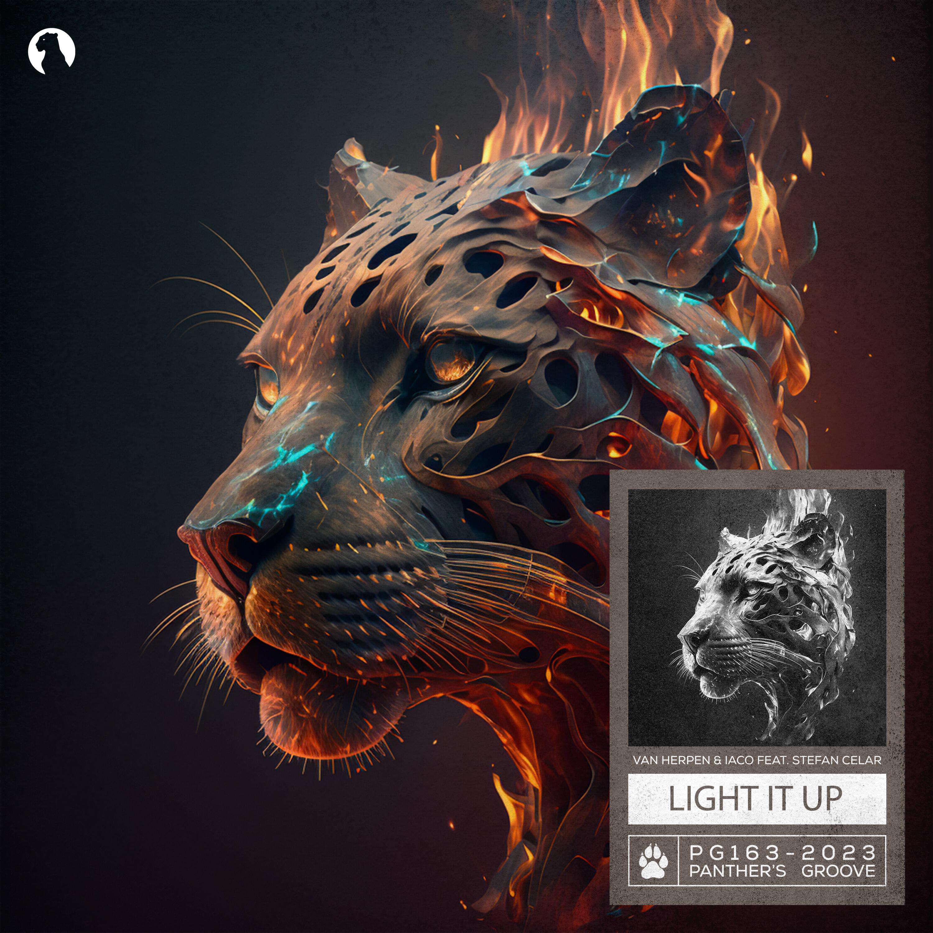 Релиз Light It Up