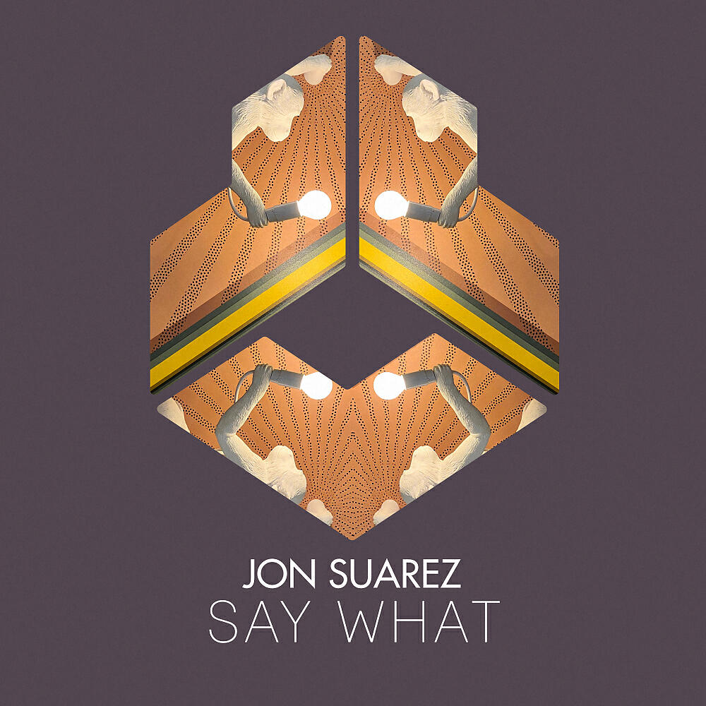 Релиз Say What