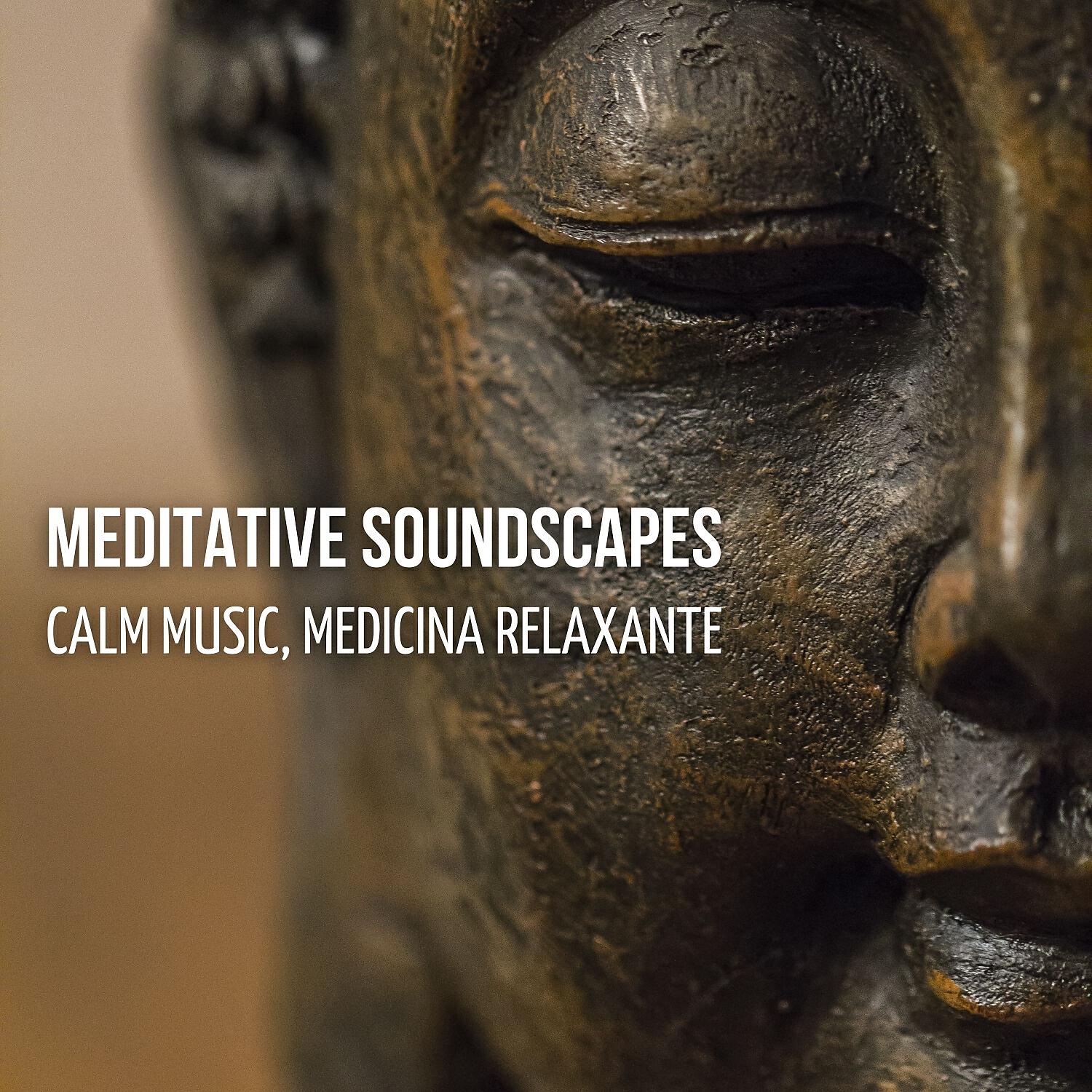 Релиз Meditative Soundscapes