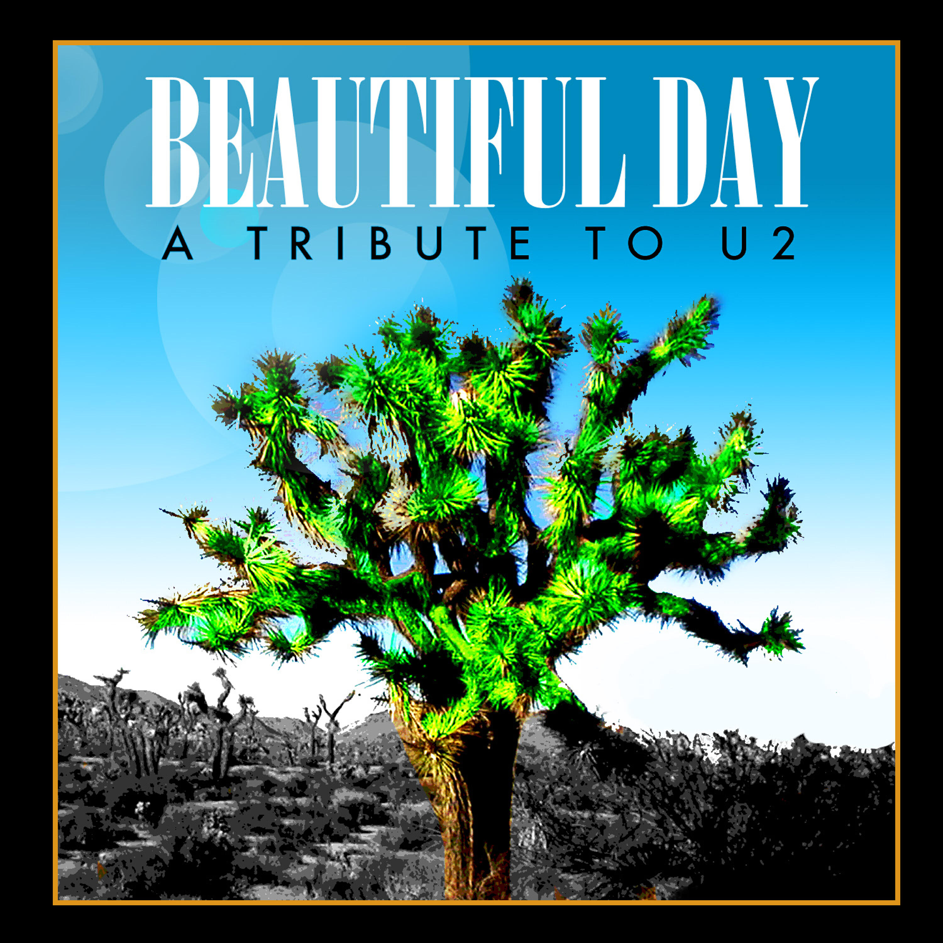 Joshua Tree